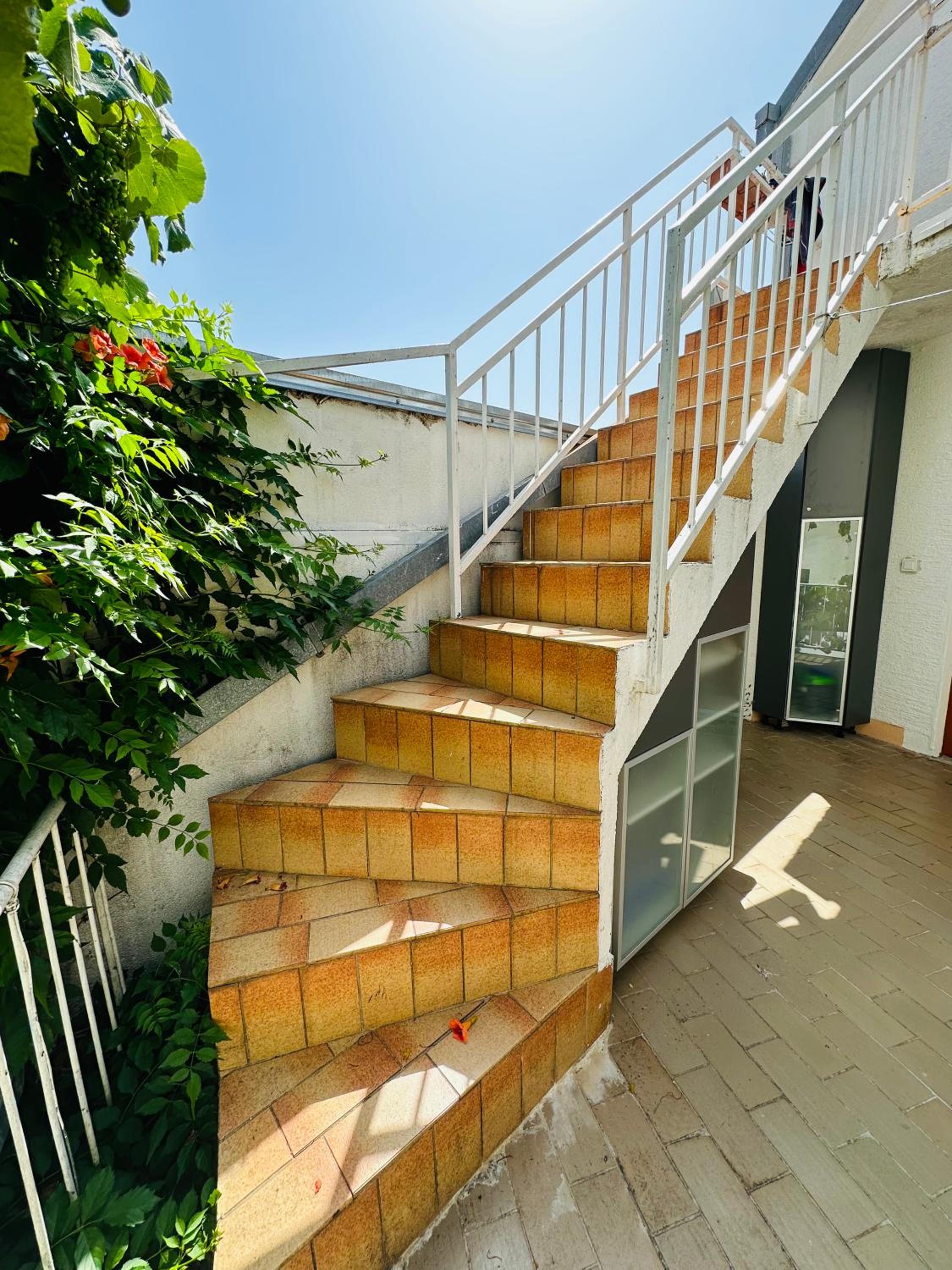 Studio with Balcony photo 3