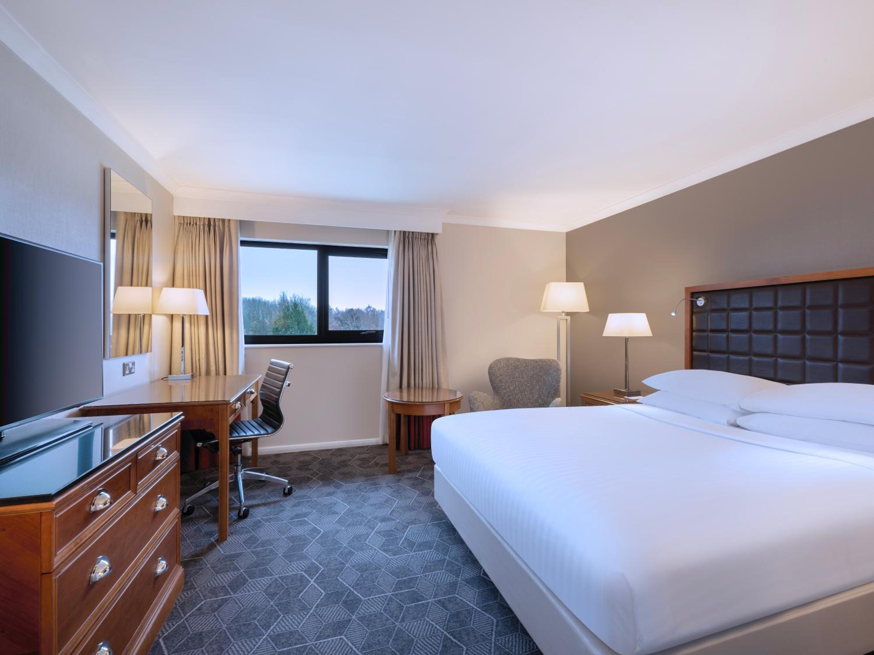 Deluxe King Room with Sofa Bed photo 1