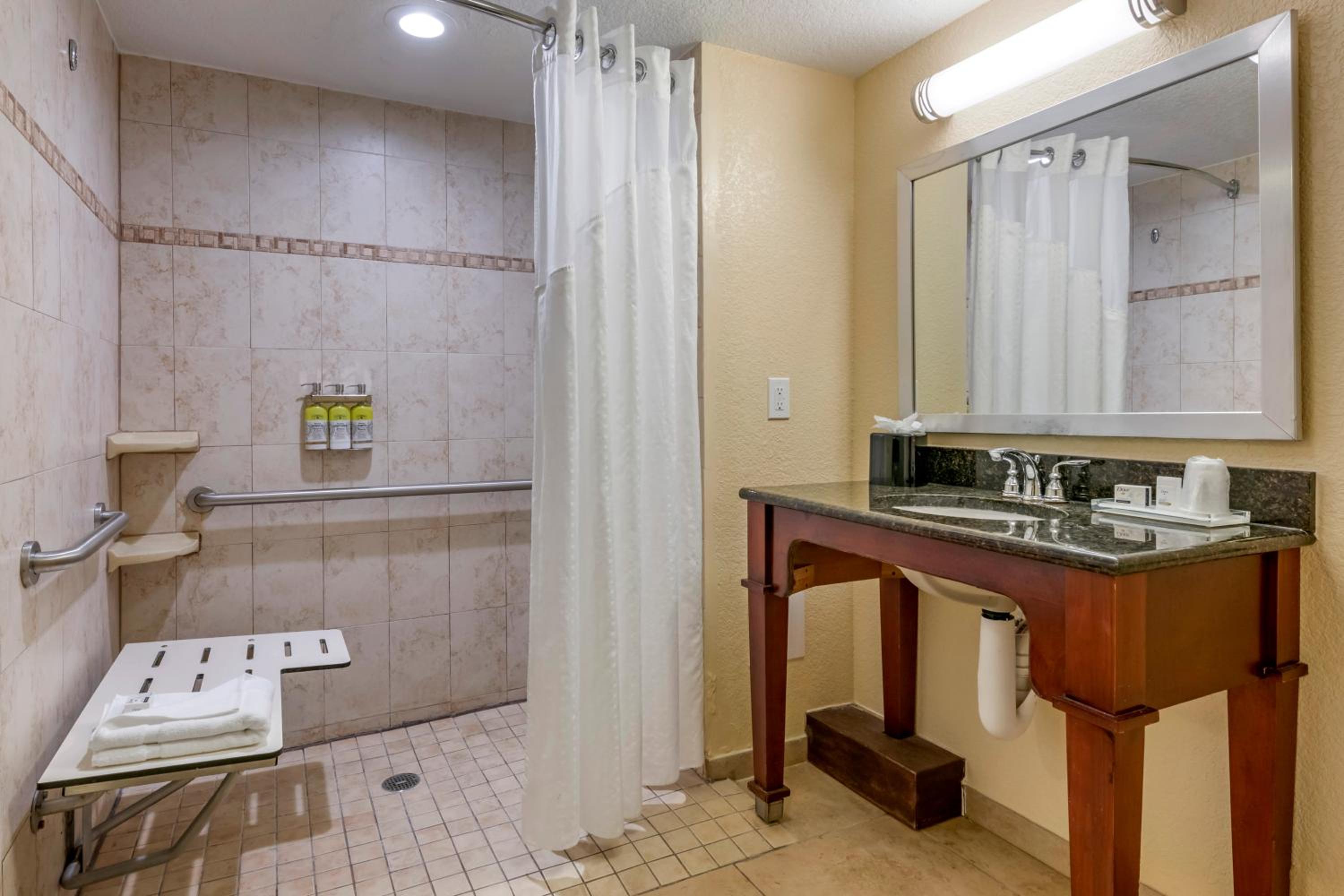King Room - Disability Access Roll in Shower
