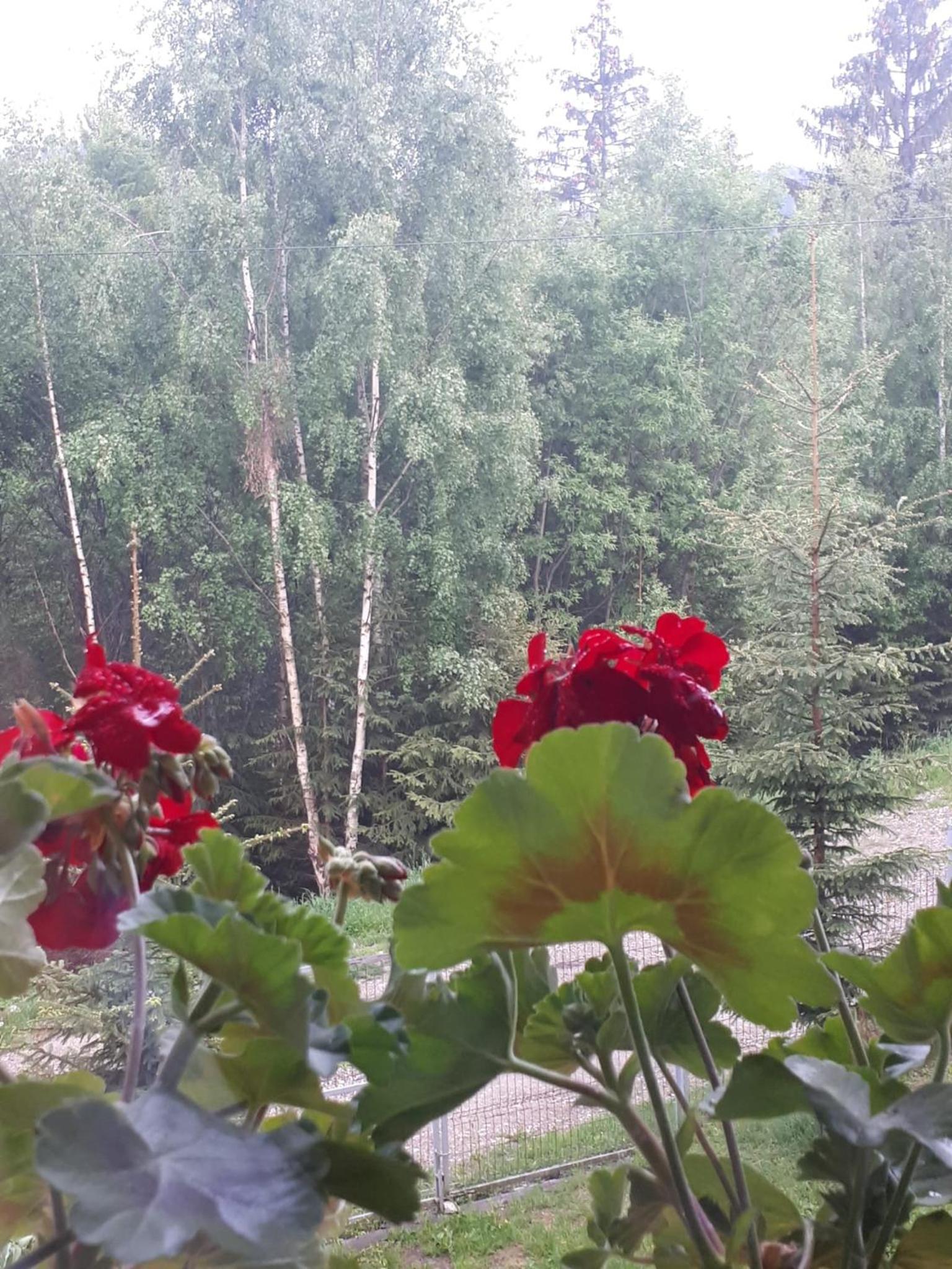 Villa - Photo 43