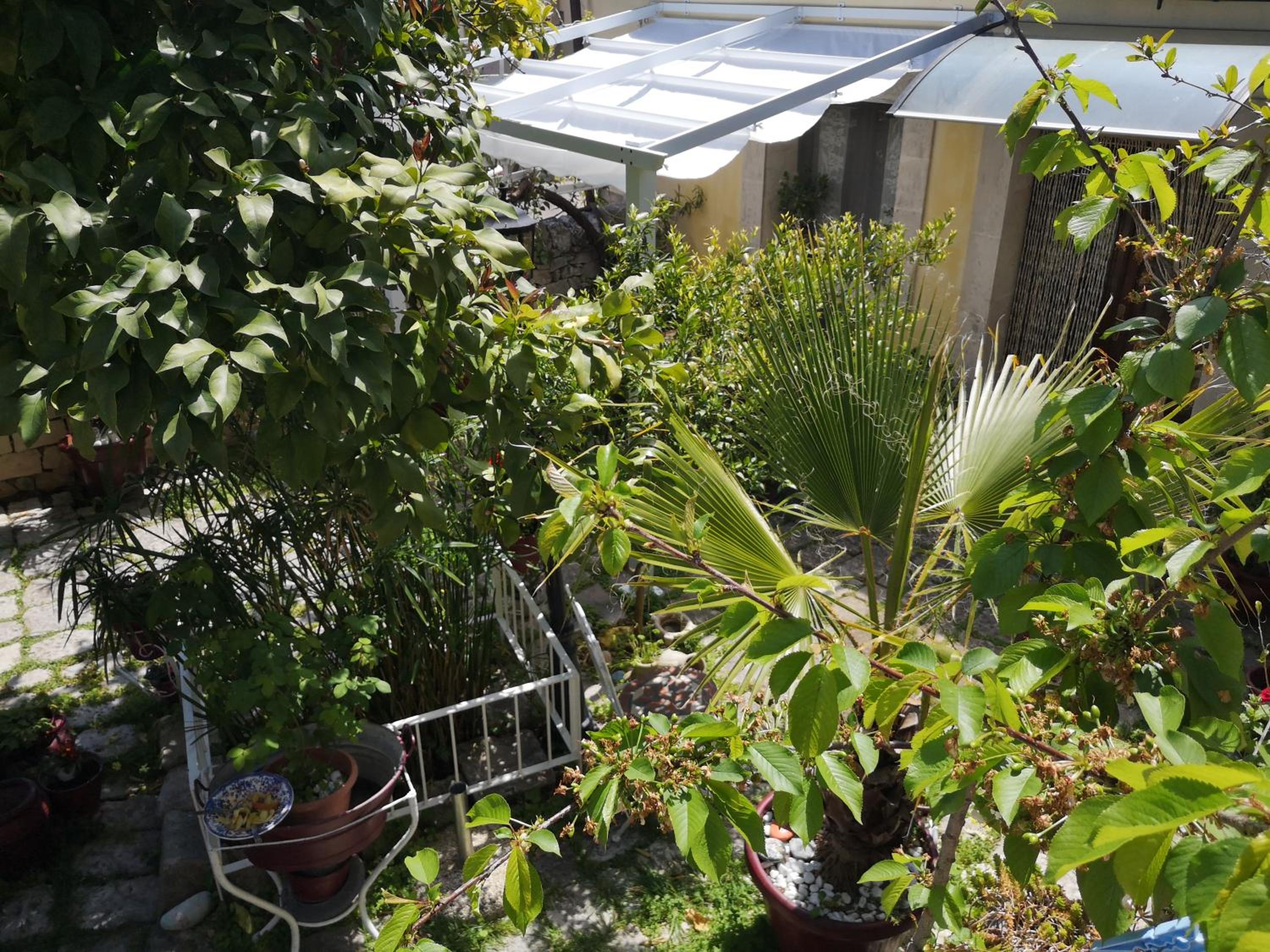 Suite with Garden View - Photo 7