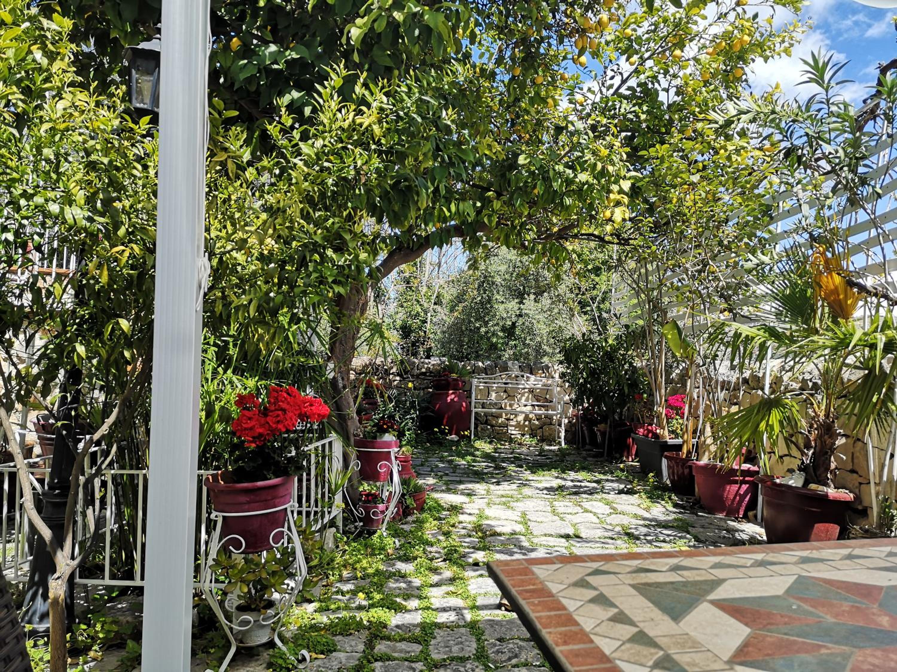Suite with Garden View - Photo 47