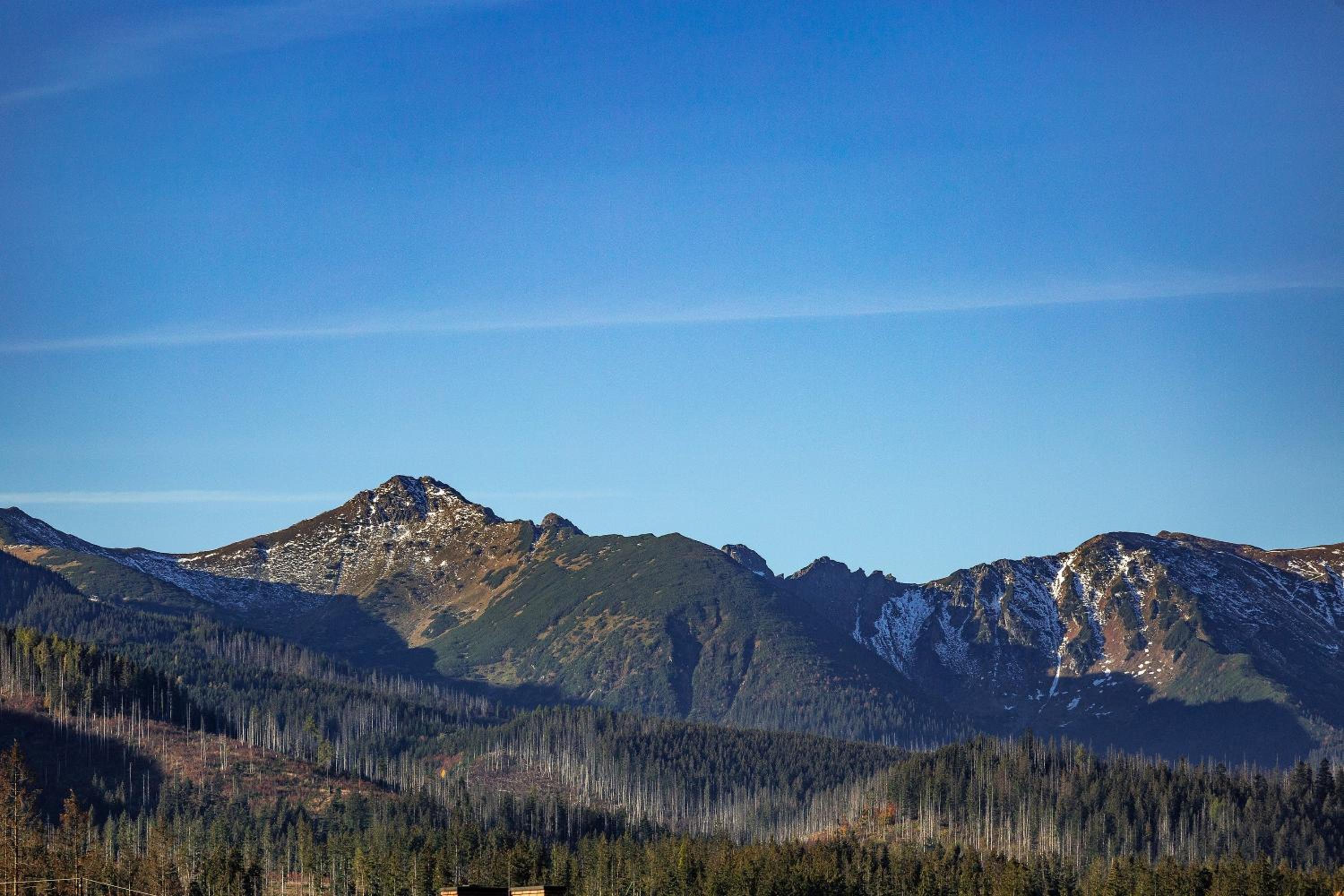 Quadruple Room with Mountain View