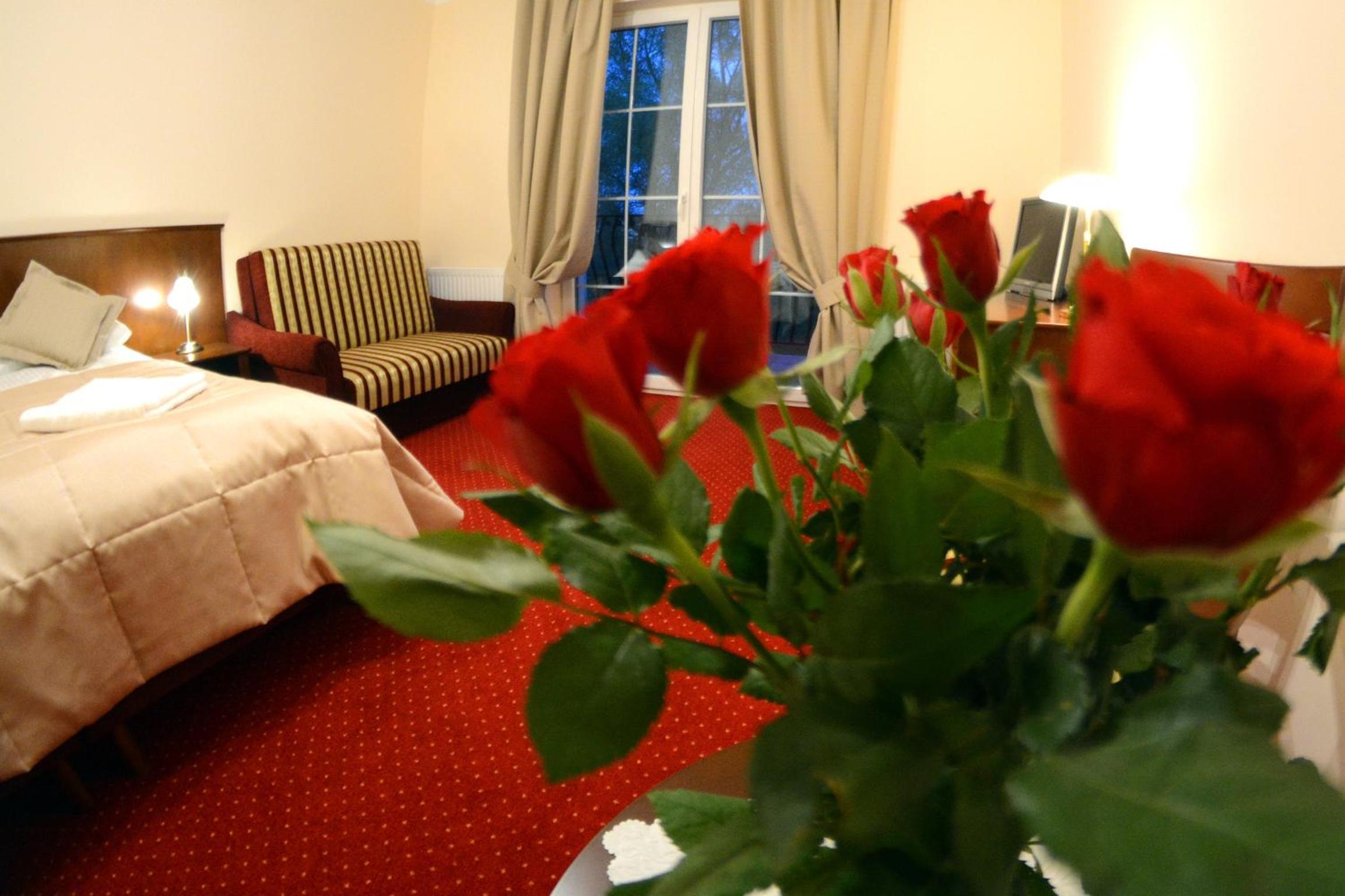 One-Bedroom Apartment (4 Adults) - Photo 4