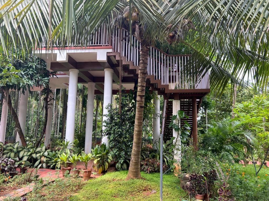 Villa photo 3