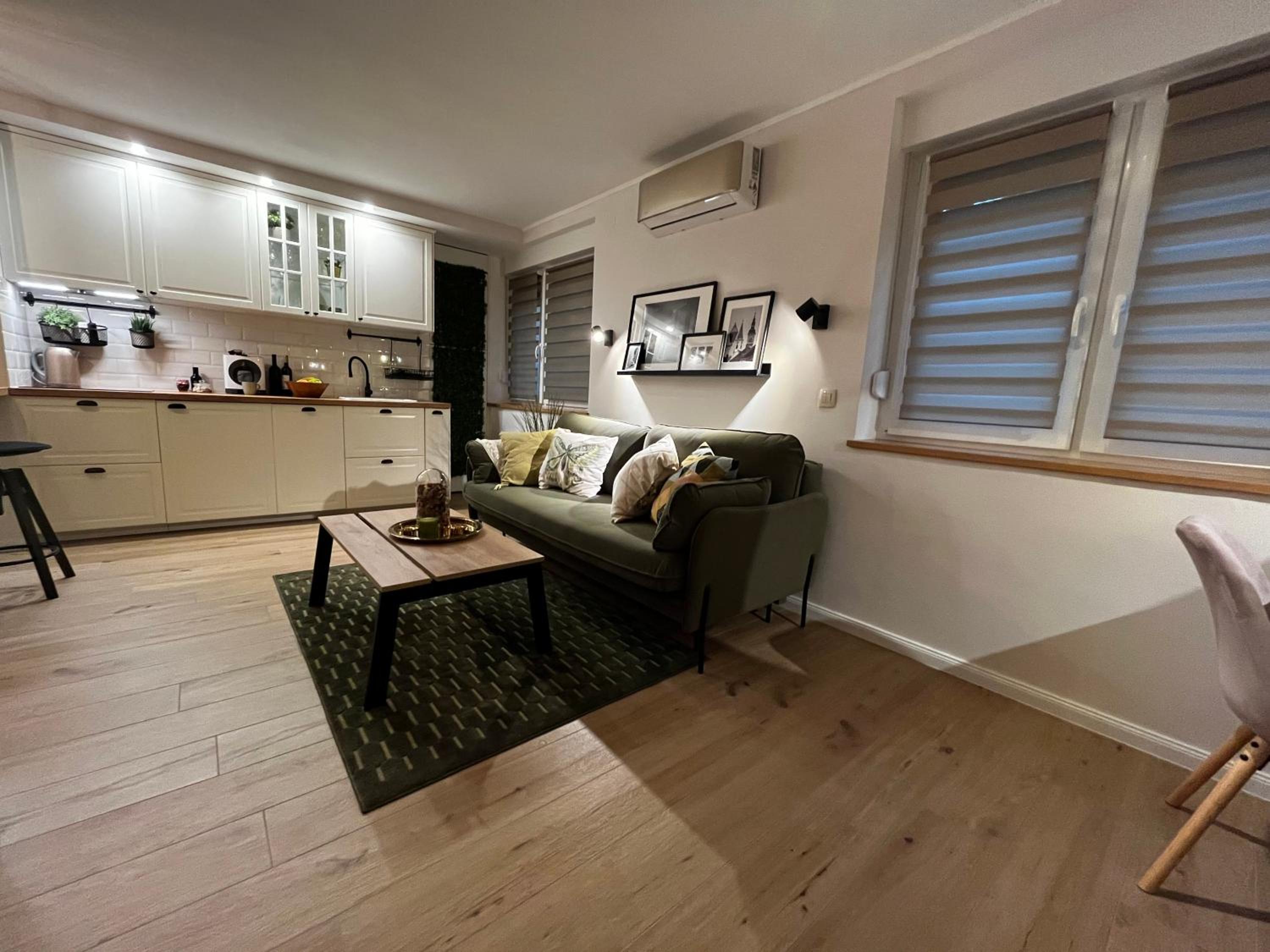 Studio Apartment photo 3