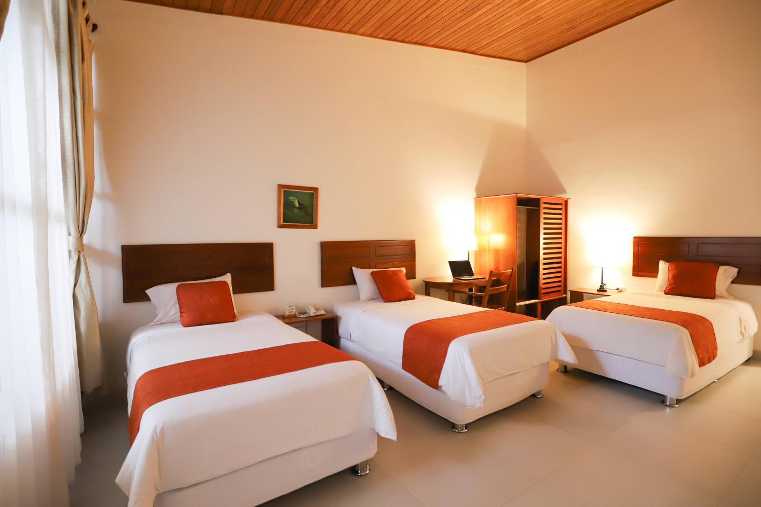 Triple Room with Terrace photo 1