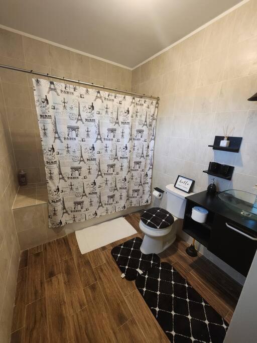 One-Bedroom Apartment photo 3