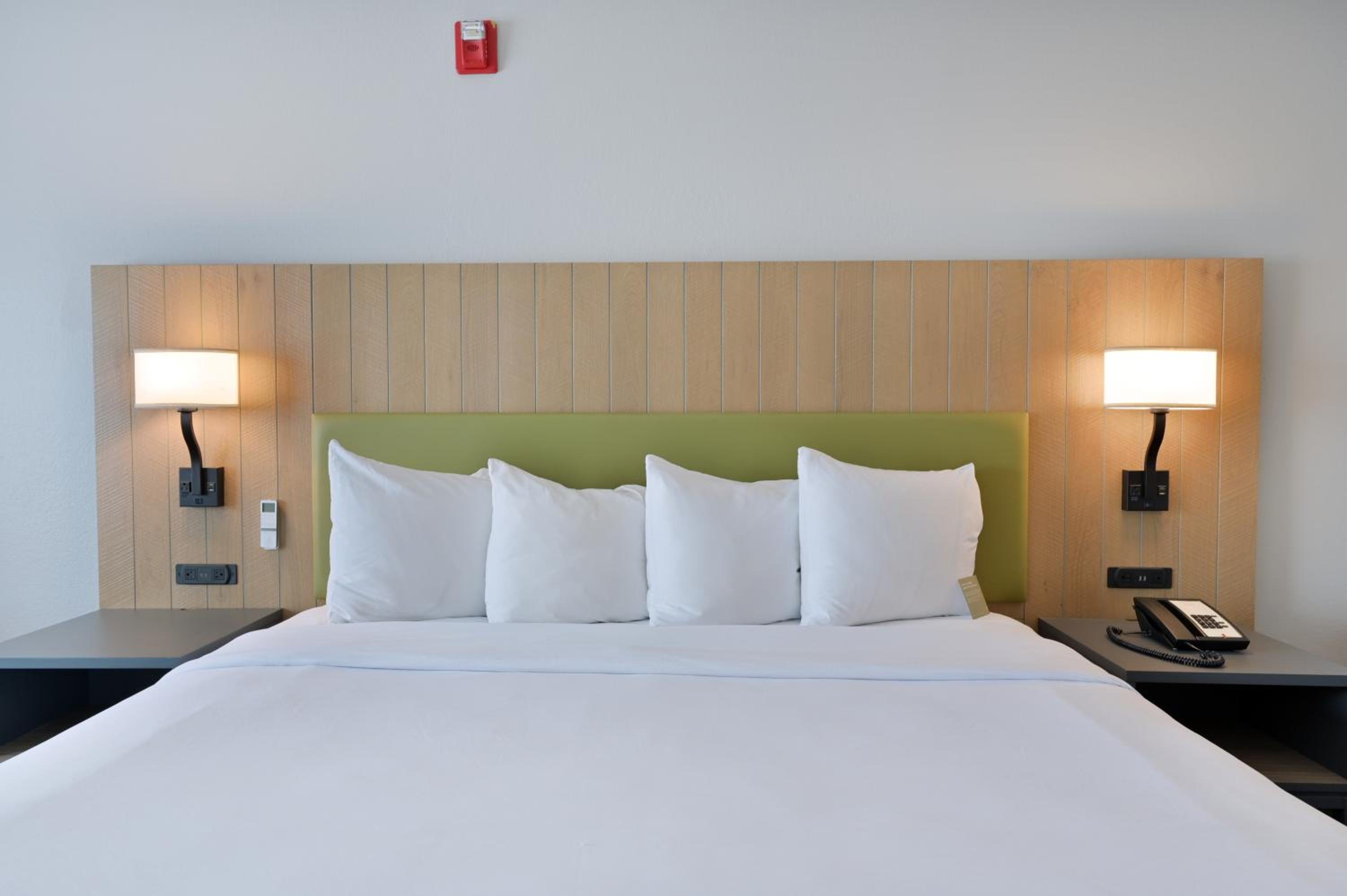 One-Bedroom King Suite with Sofa Bed - Photo 4