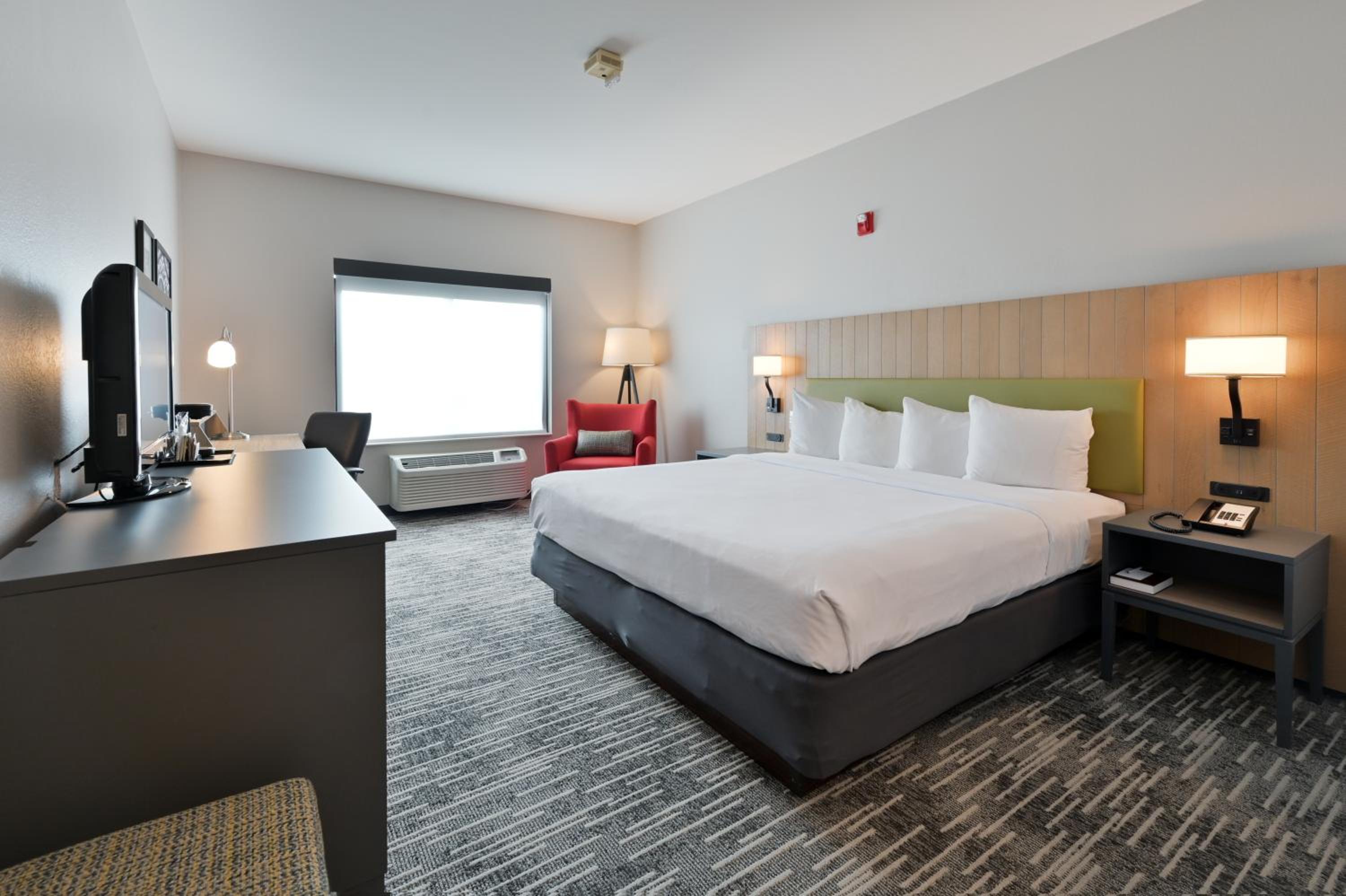 King Room - Photo 1
