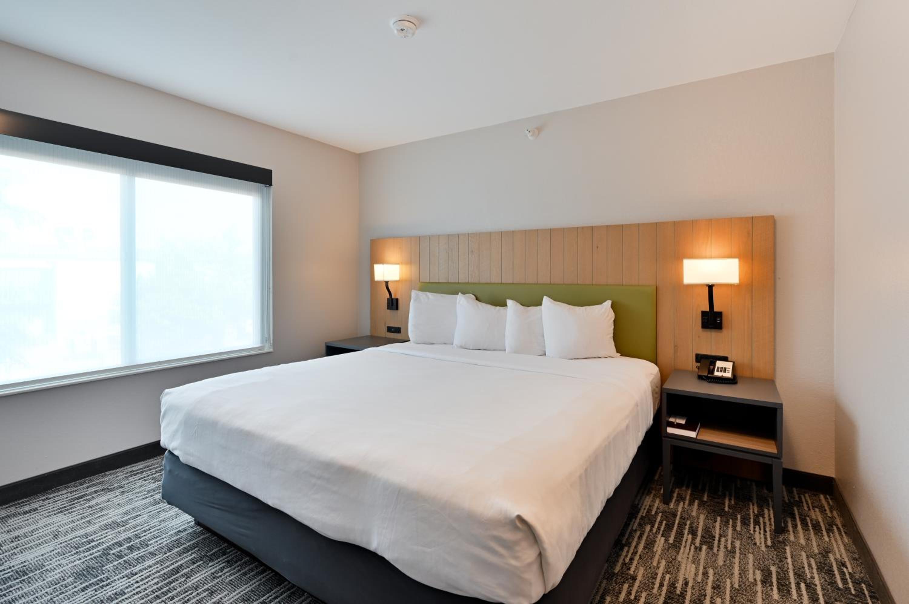 One-Bedroom King Suite with Sofa Bed - Disability Access photo 3