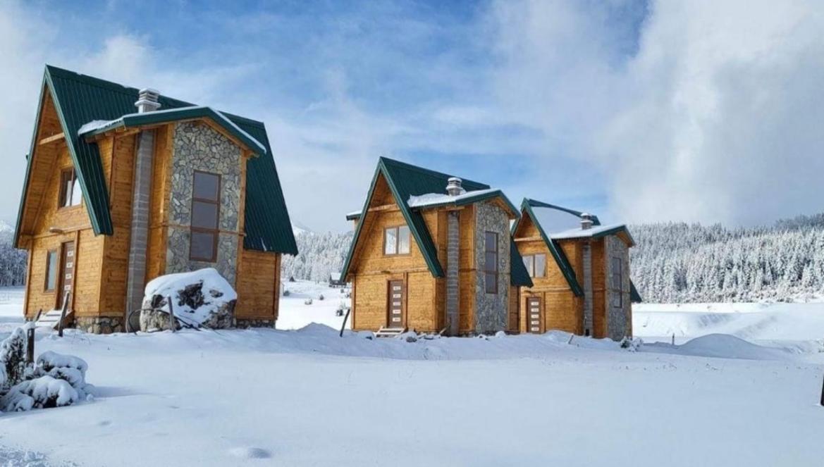 Vacation Home photo 3