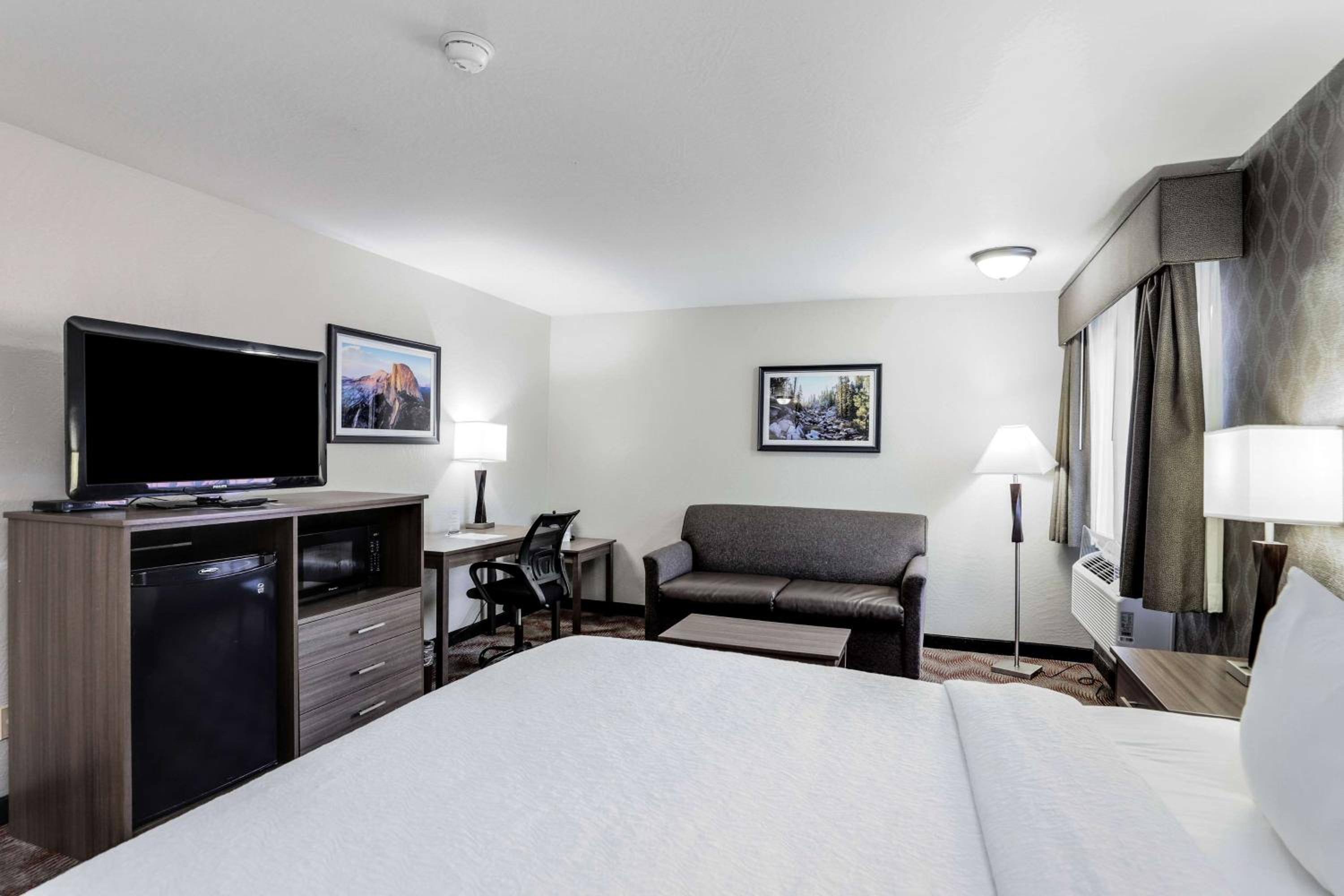 King Room - Pet Friendly/Non-Smoking - Photo 4