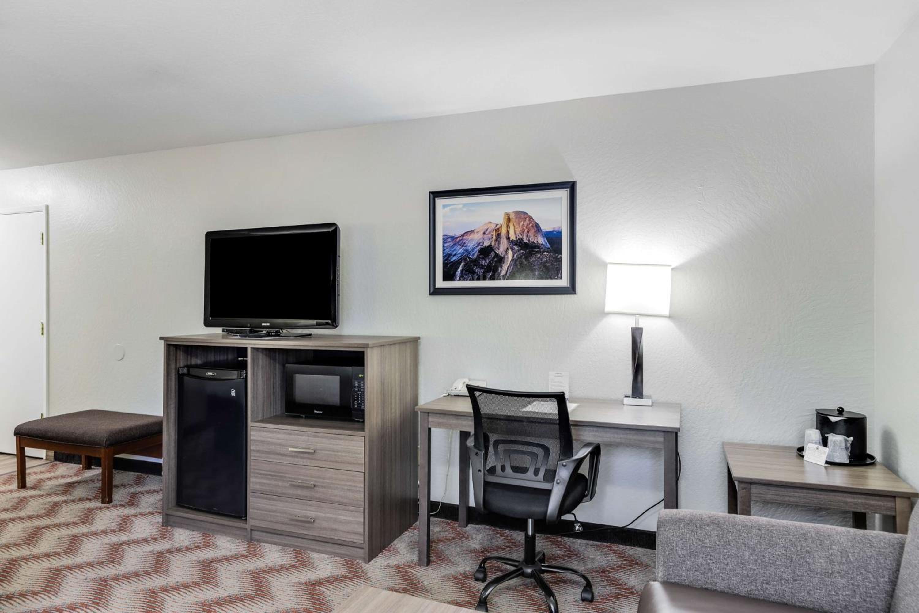 King Room - Pet Friendly/Non-Smoking - Photo 3