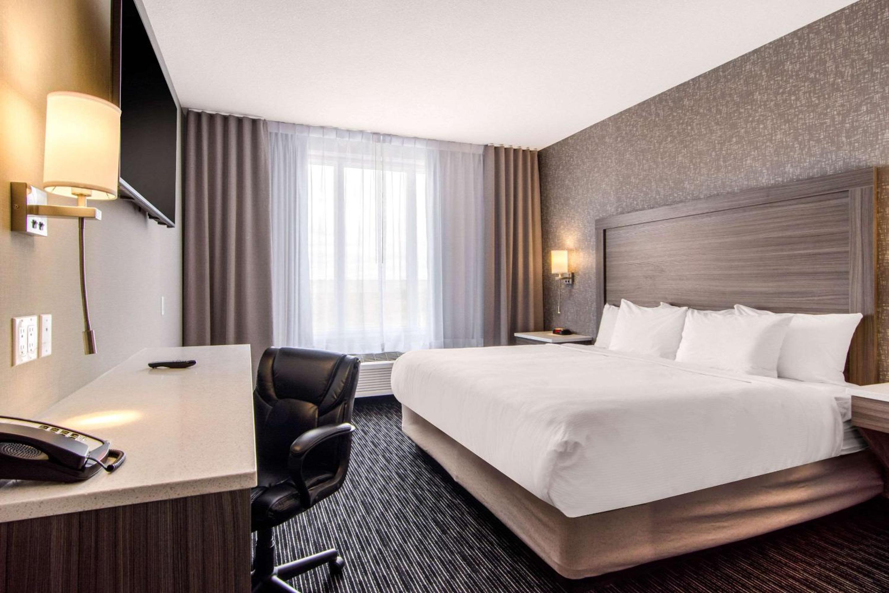 Executive King Suite photo 1