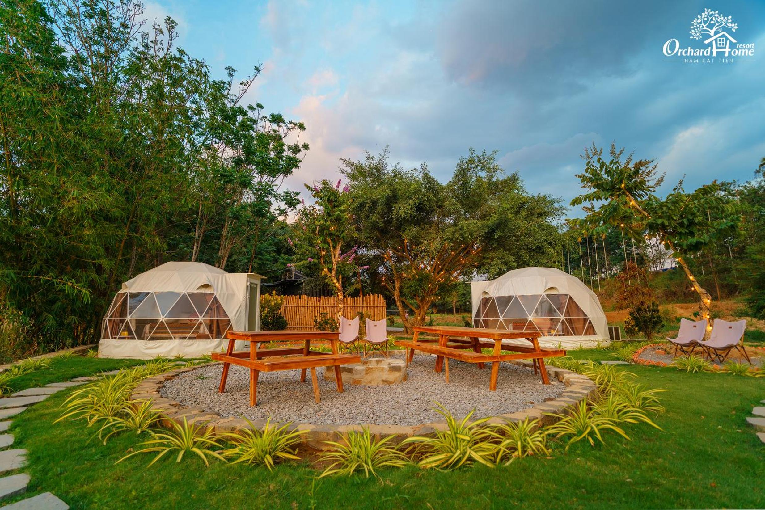 Orchard Hill Dome photo 3