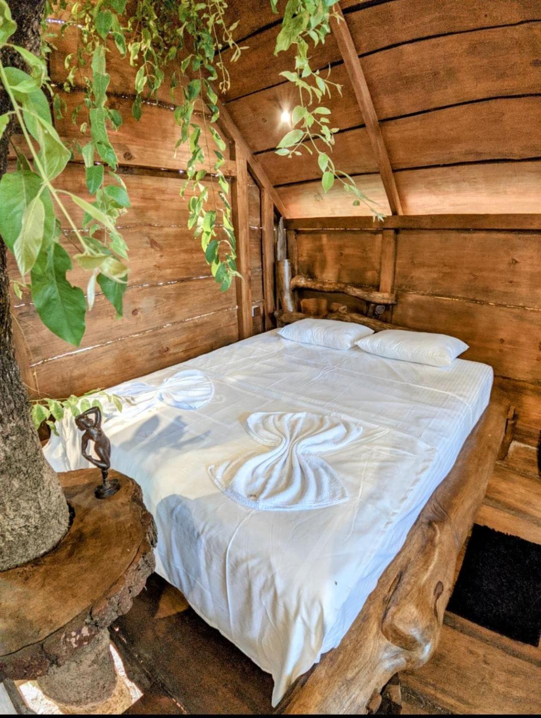 Deluxe Double or Twin Room with Mountain View photo 1