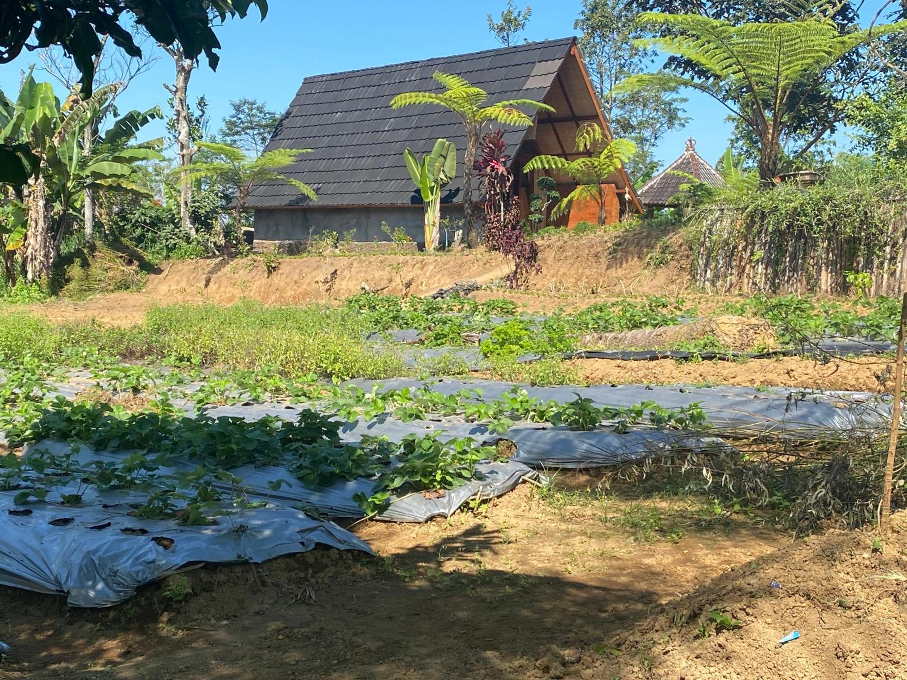 Villa with Garden View photo 2