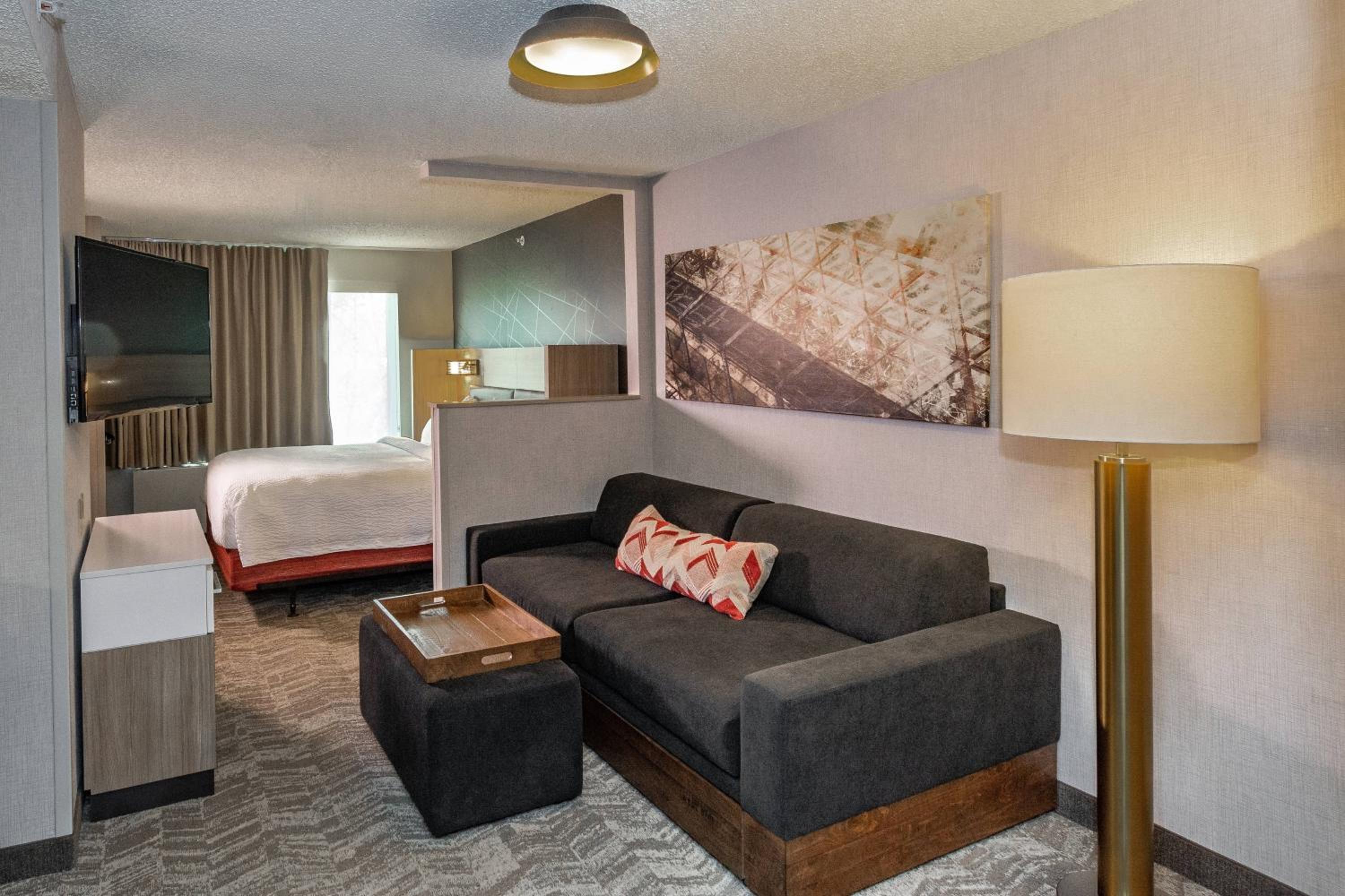 King Suite with Sofa Bed - Photo 1