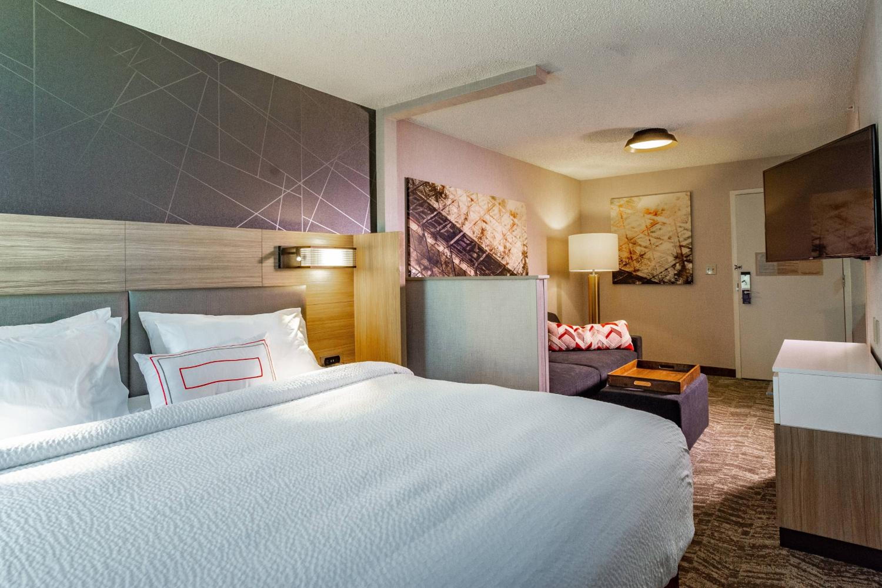 King Suite with Sofa Bed - Photo 9