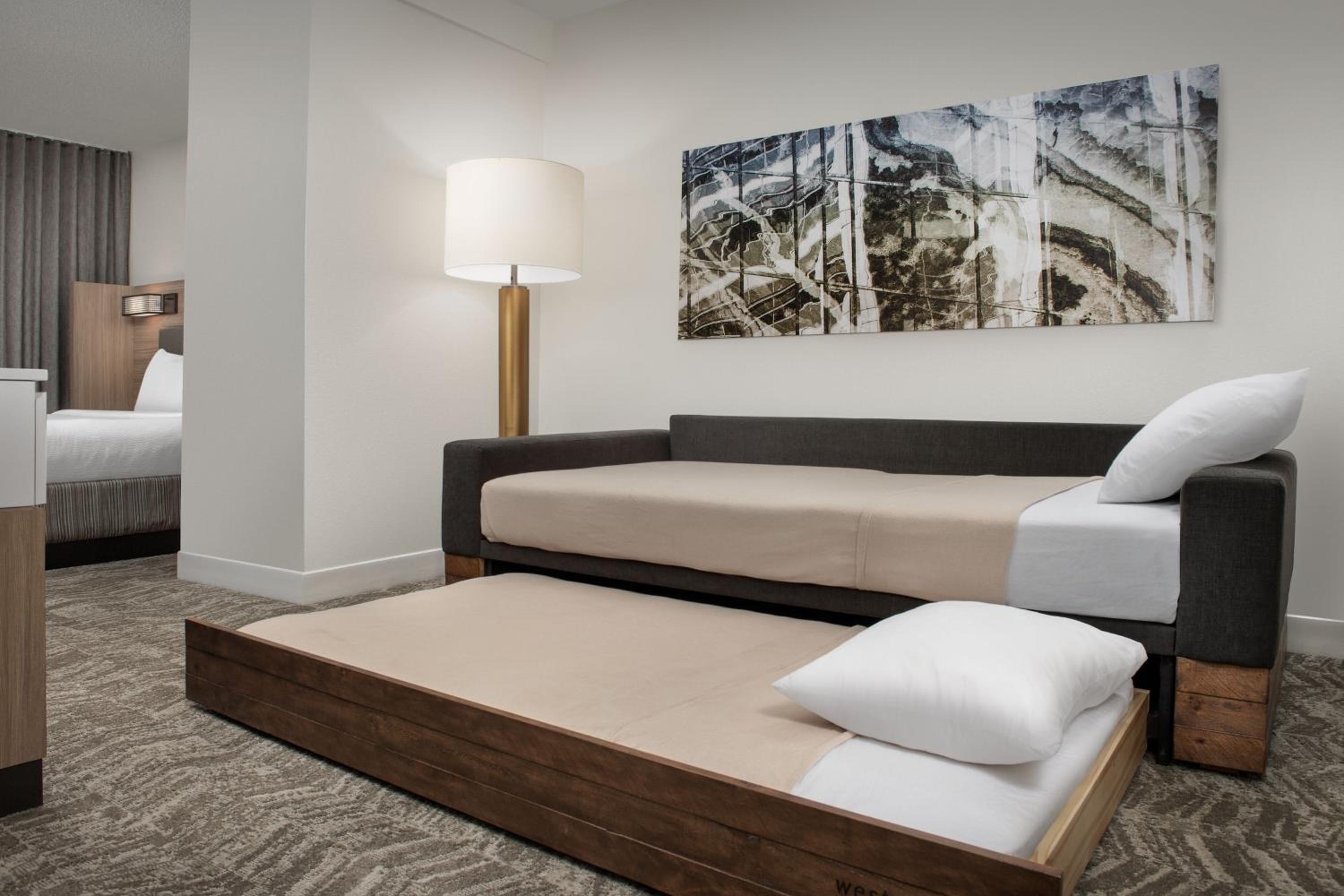 Large King Suite with Sofa Bed - Photo 3