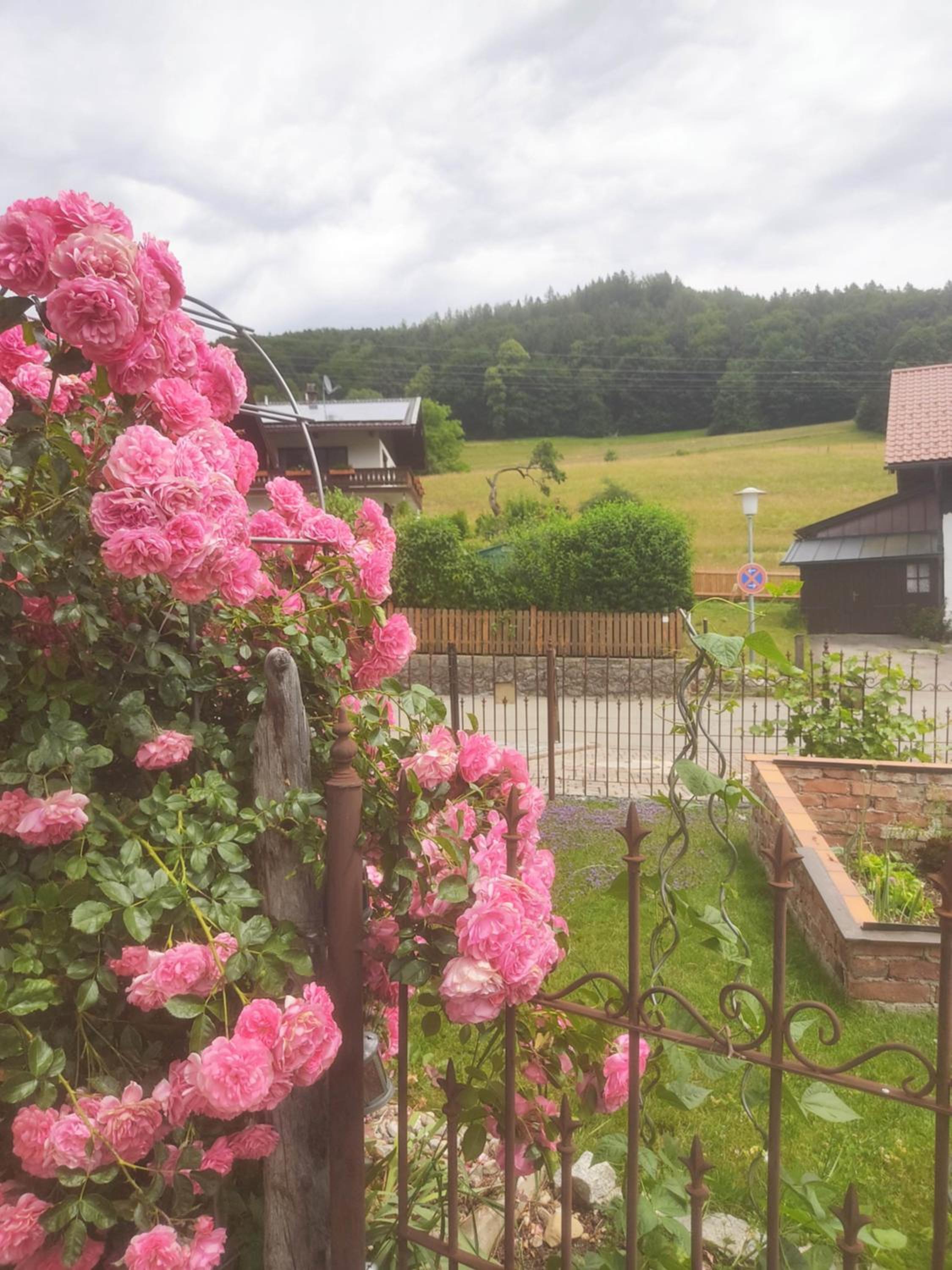 Apartment with Terrace photo 3
