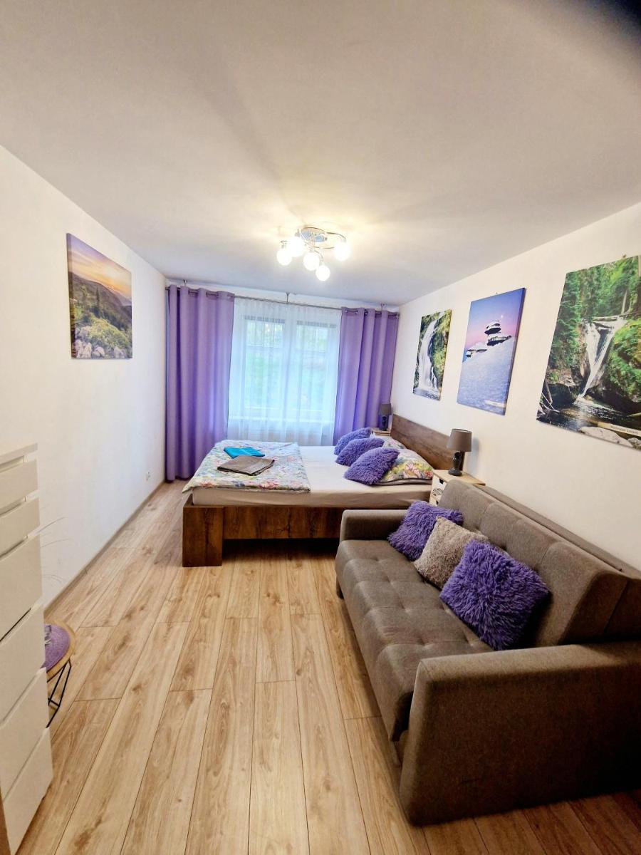 Standard Apartment photo 1