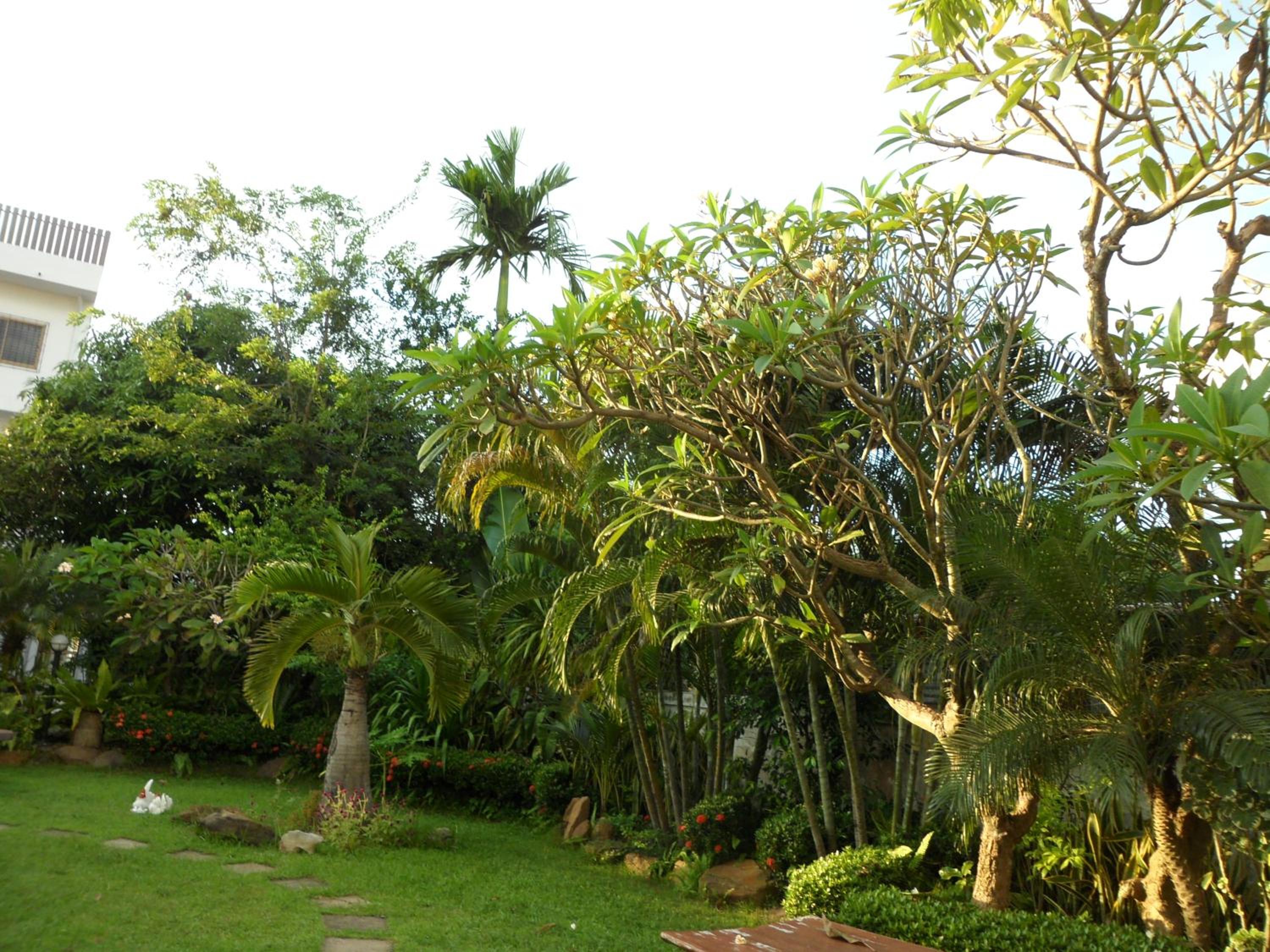 Double Room with Balcony photo 3
