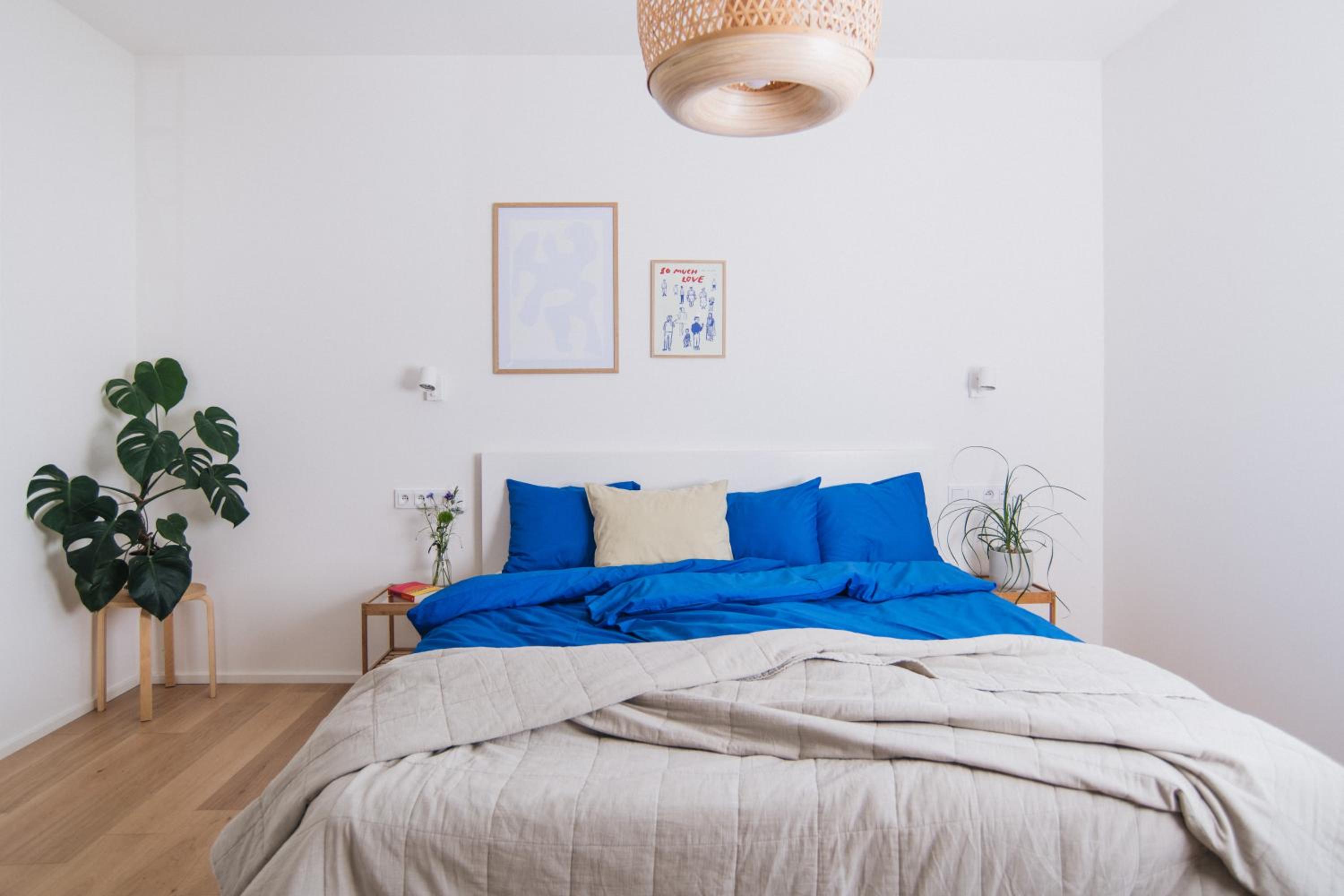 Superior Apartment photo 1
