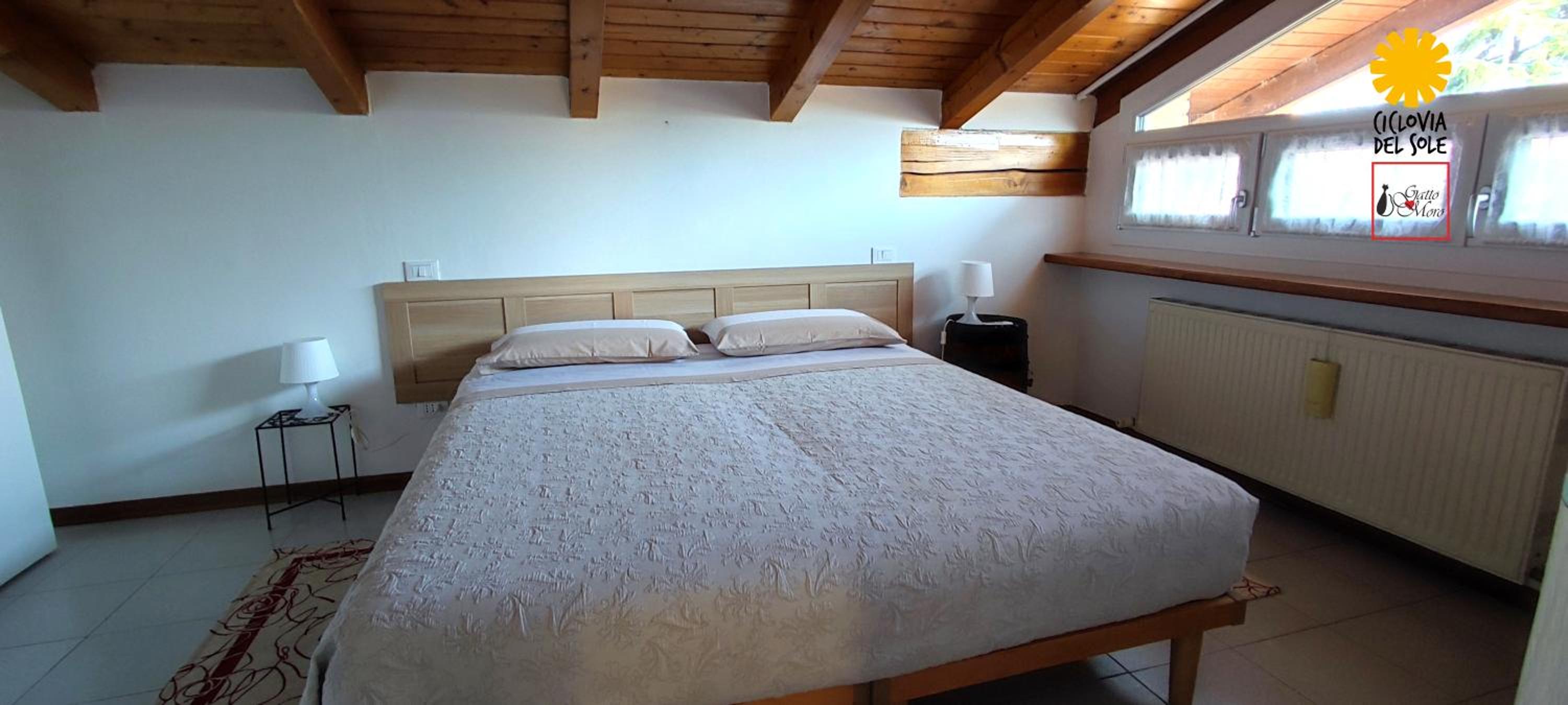 Apartment with Terrace photo 2