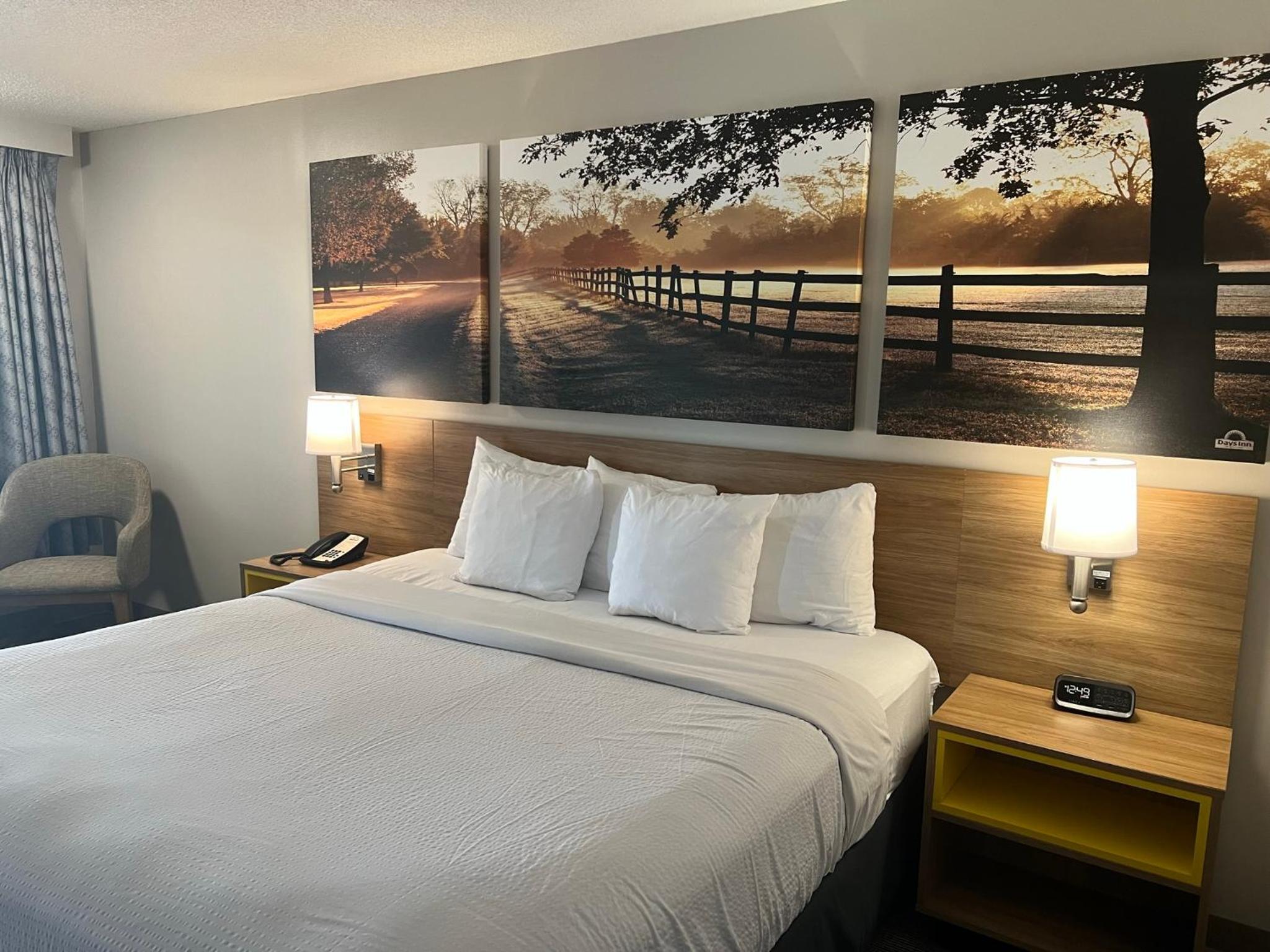 King Room - Non-Smoking - Photo 5