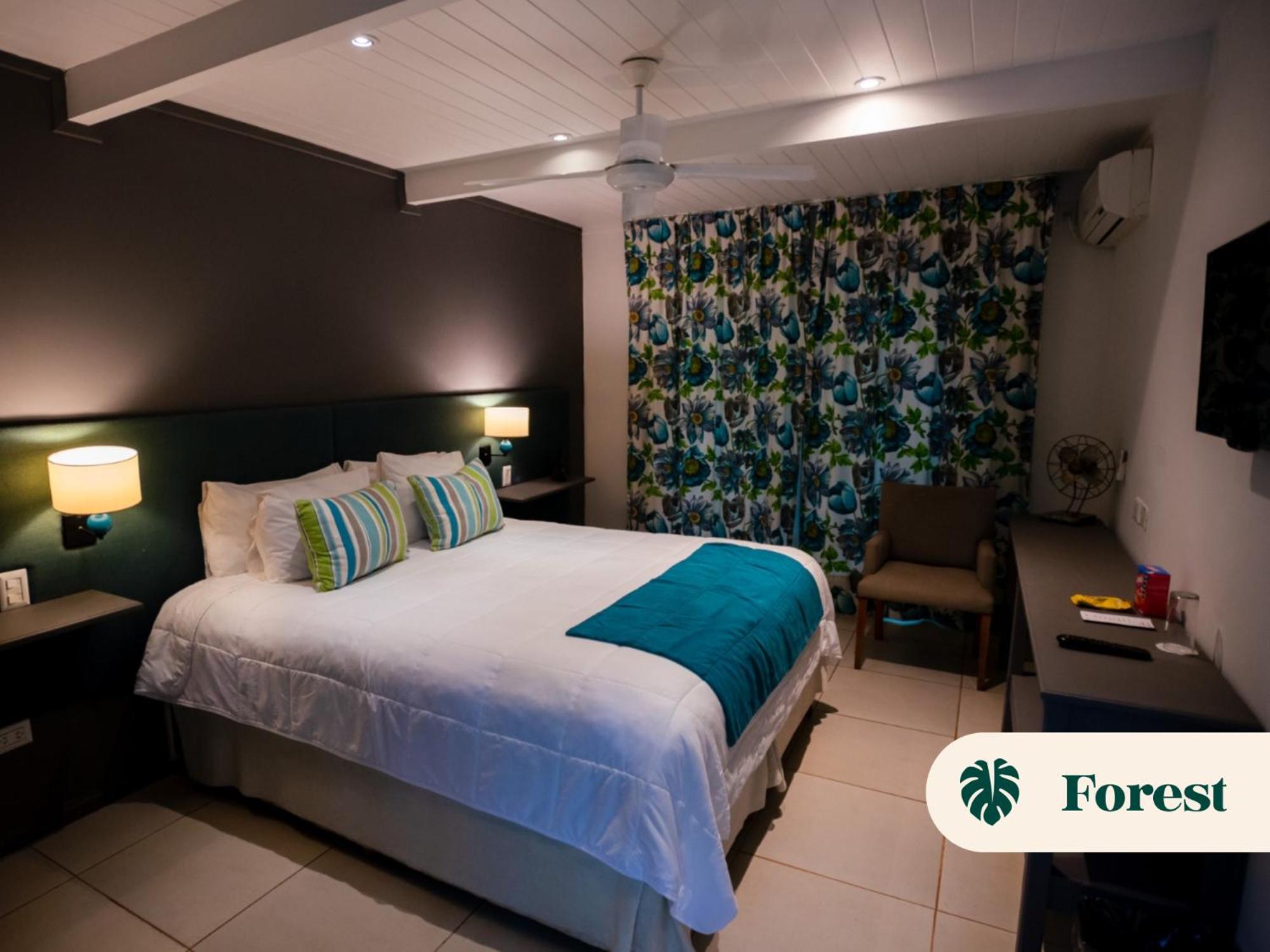 Double Room Basic photo 1