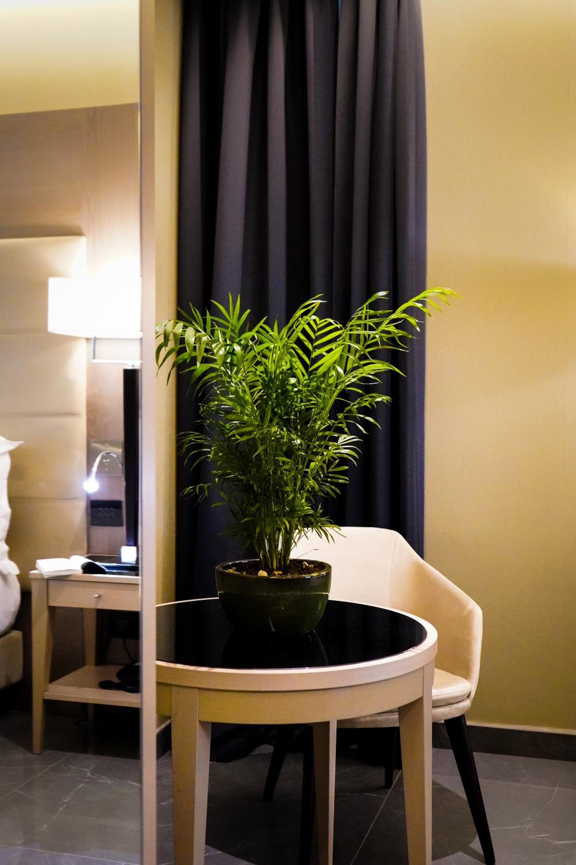 Deluxe Double Room - Photo 5