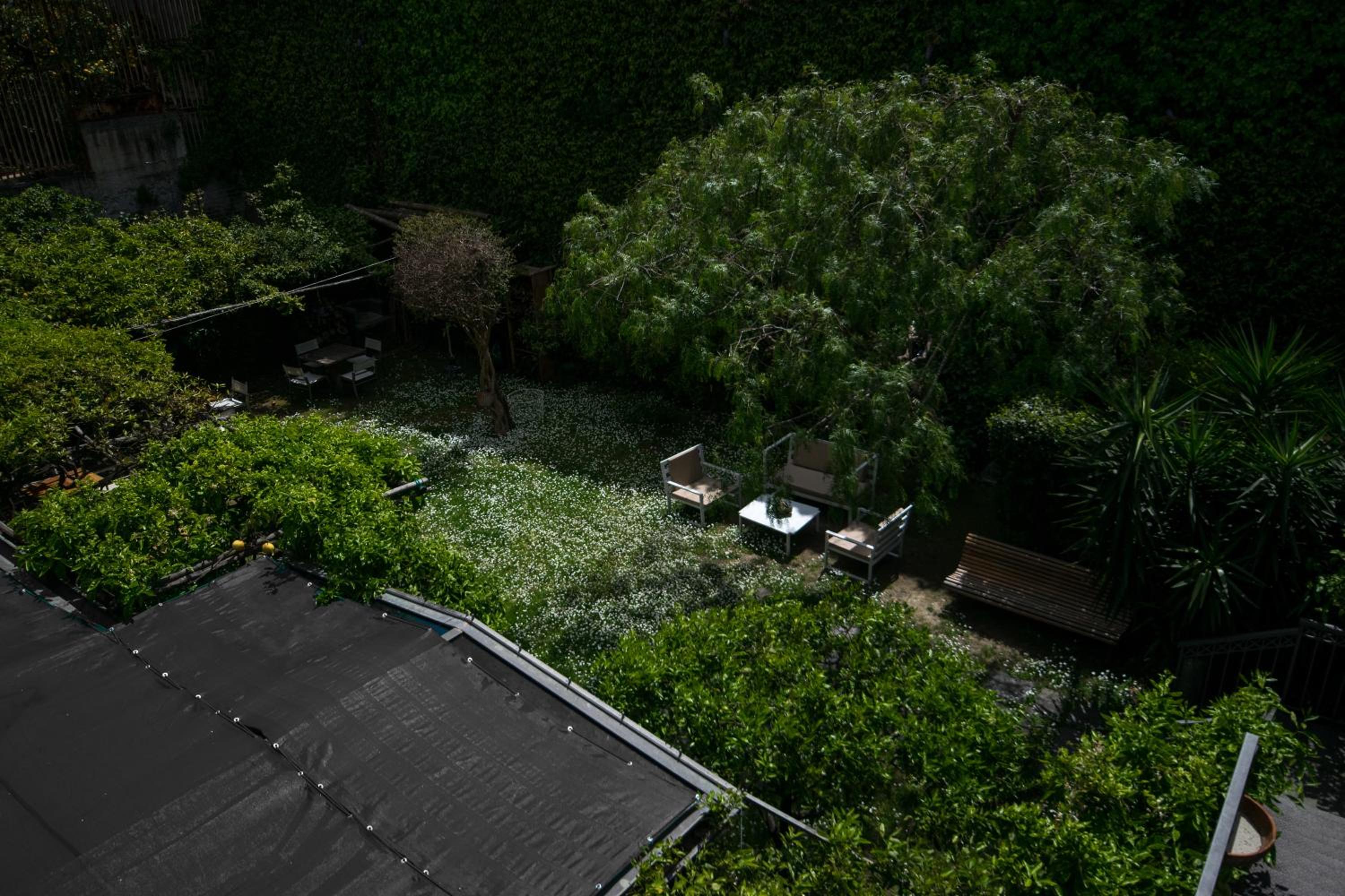 Executive Suite - Photo 5