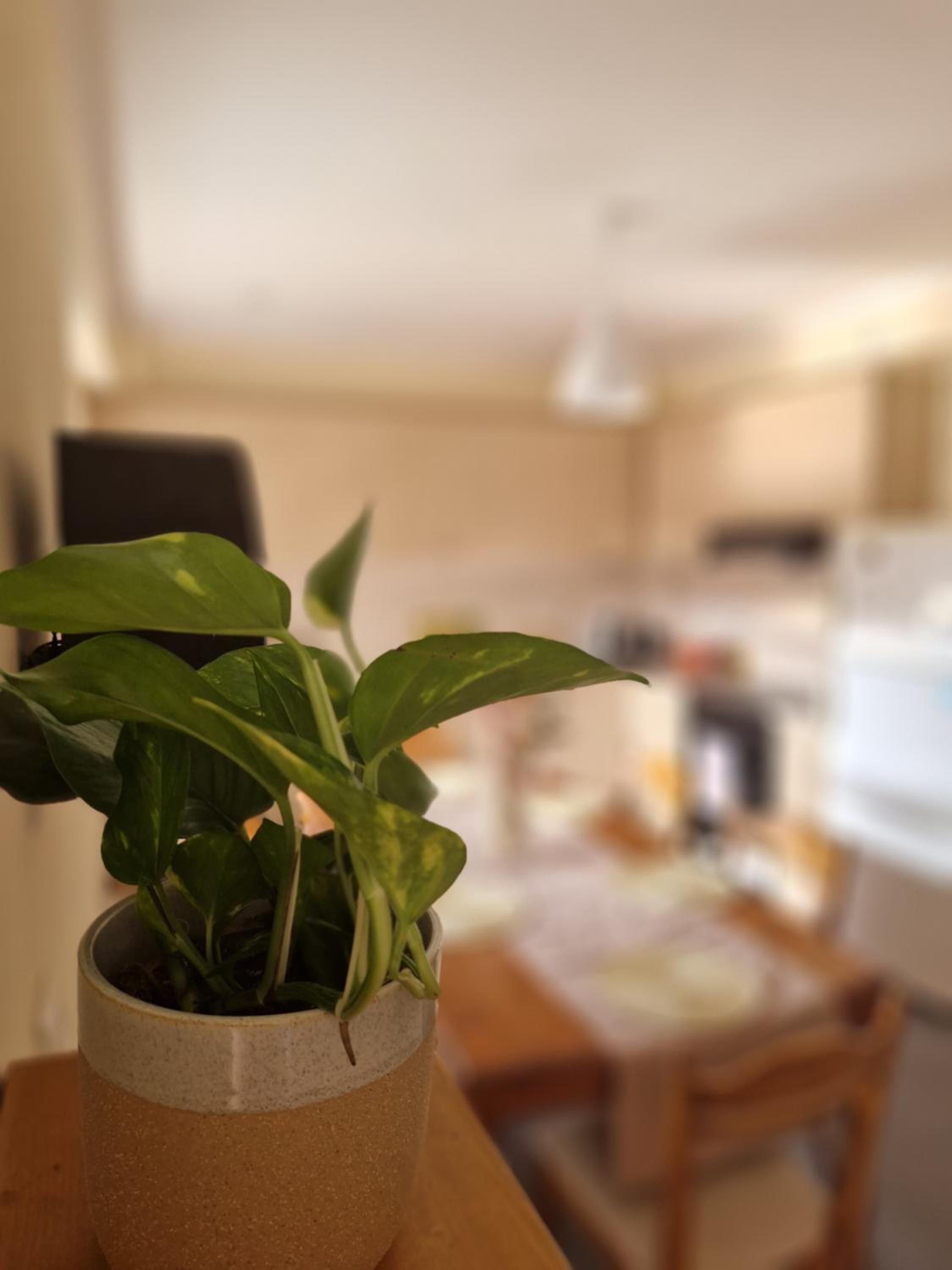 Apartment - Photo 34