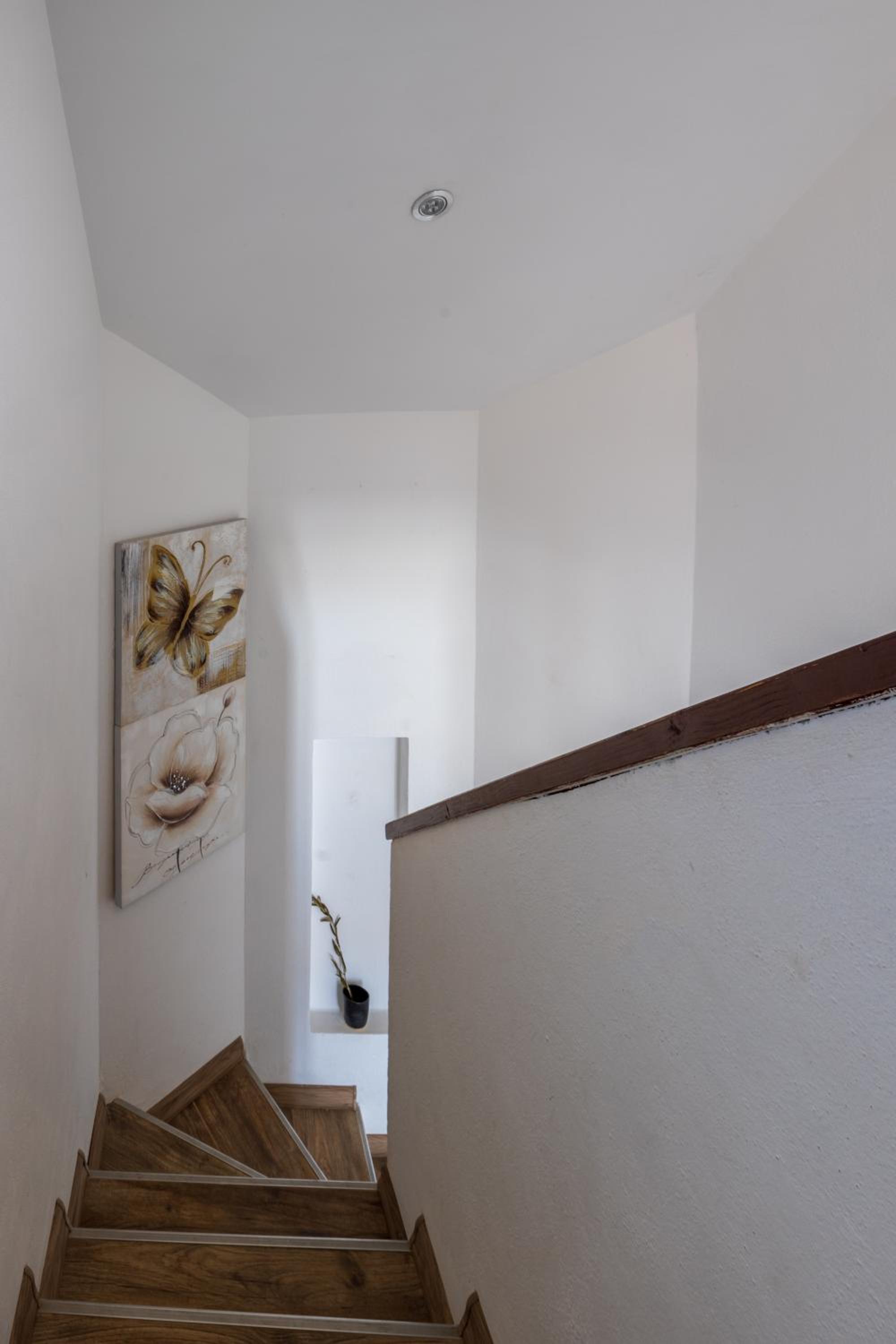 Villa photo 1
