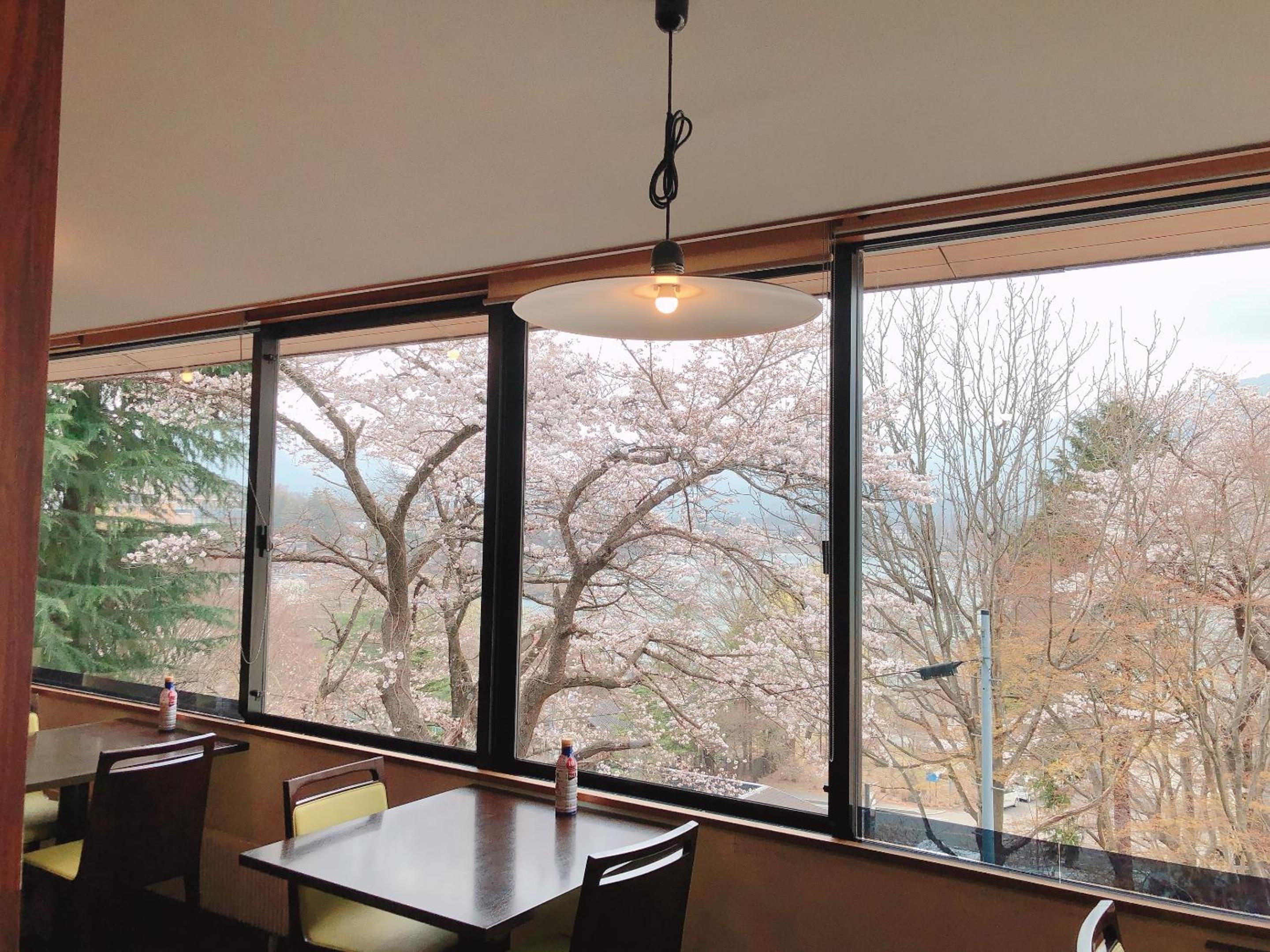 Twin Room with Lake View - Smoking
