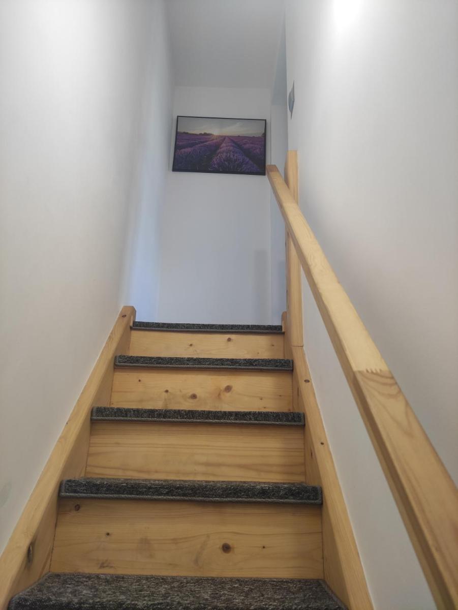 One-Bedroom House photo 2
