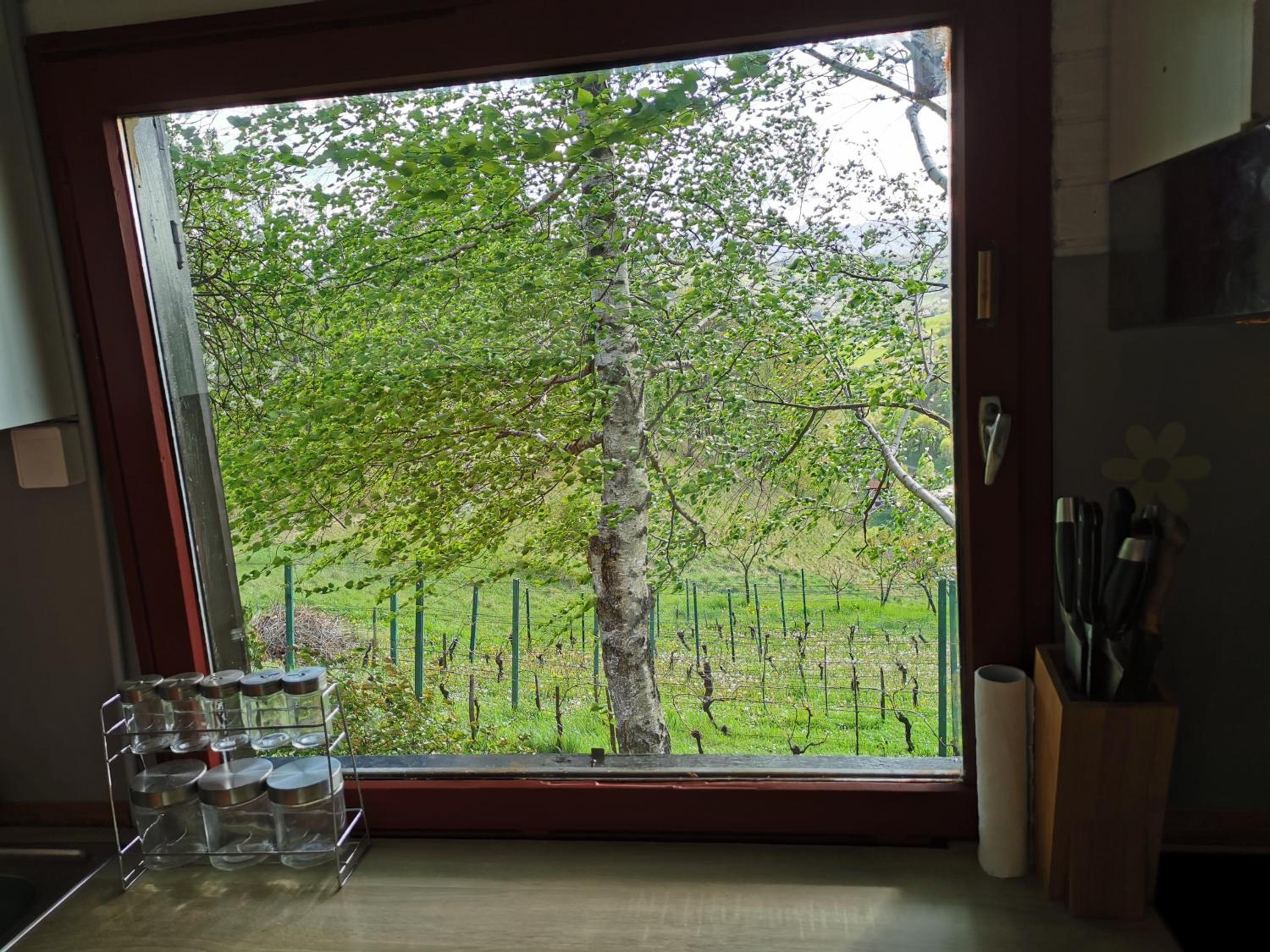 One-Bedroom House - Photo 19