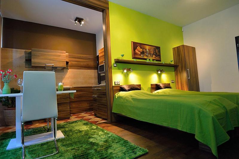 Studio Apartment photo 1