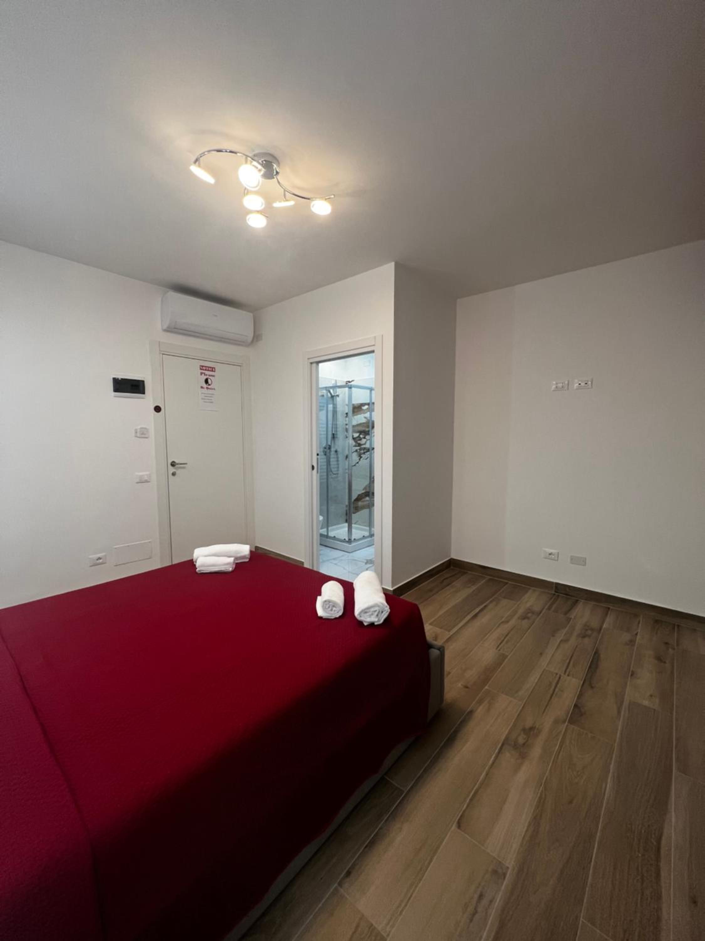 Deluxe Double Room with Balcony photo 3