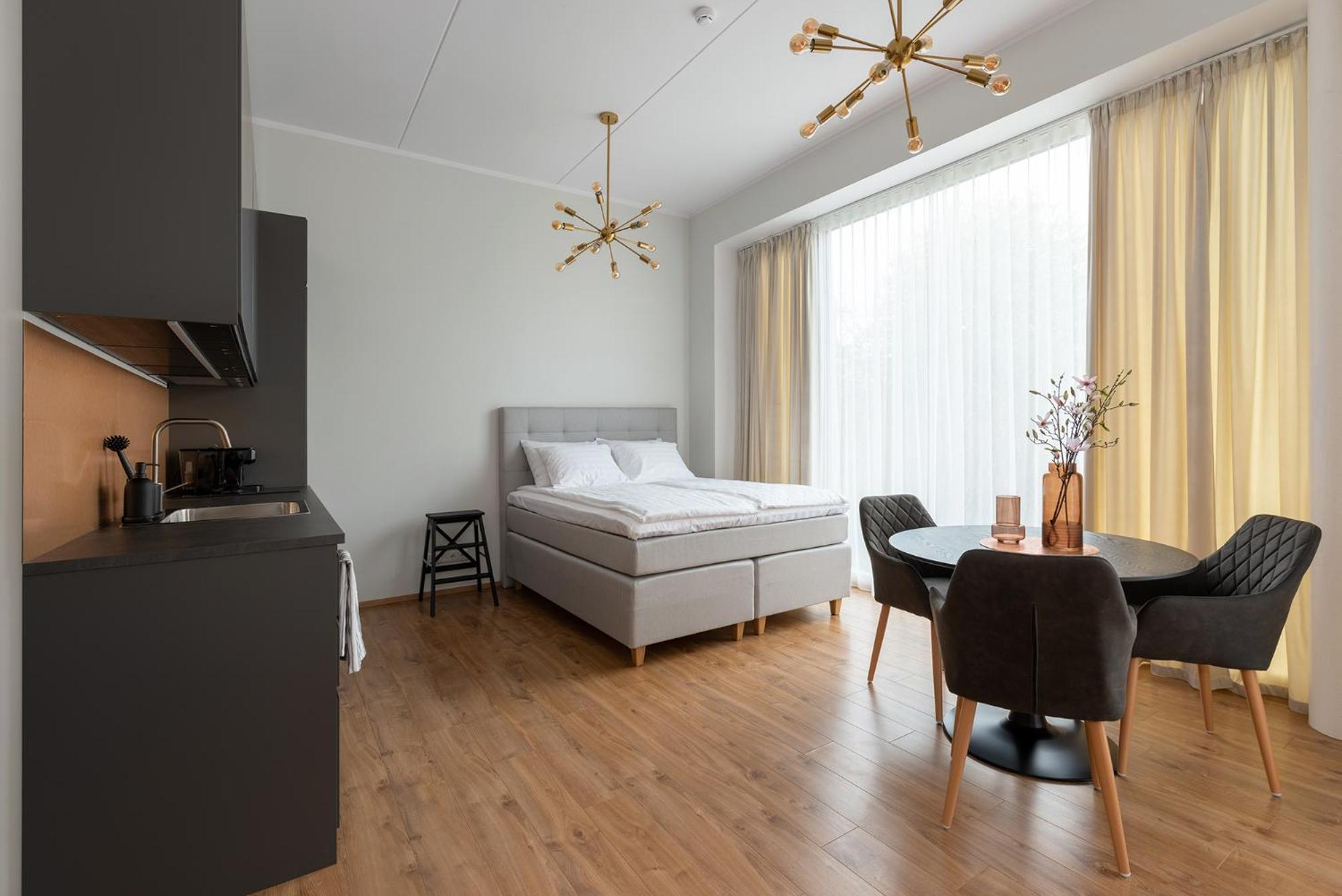 Studio Apartment photo 1