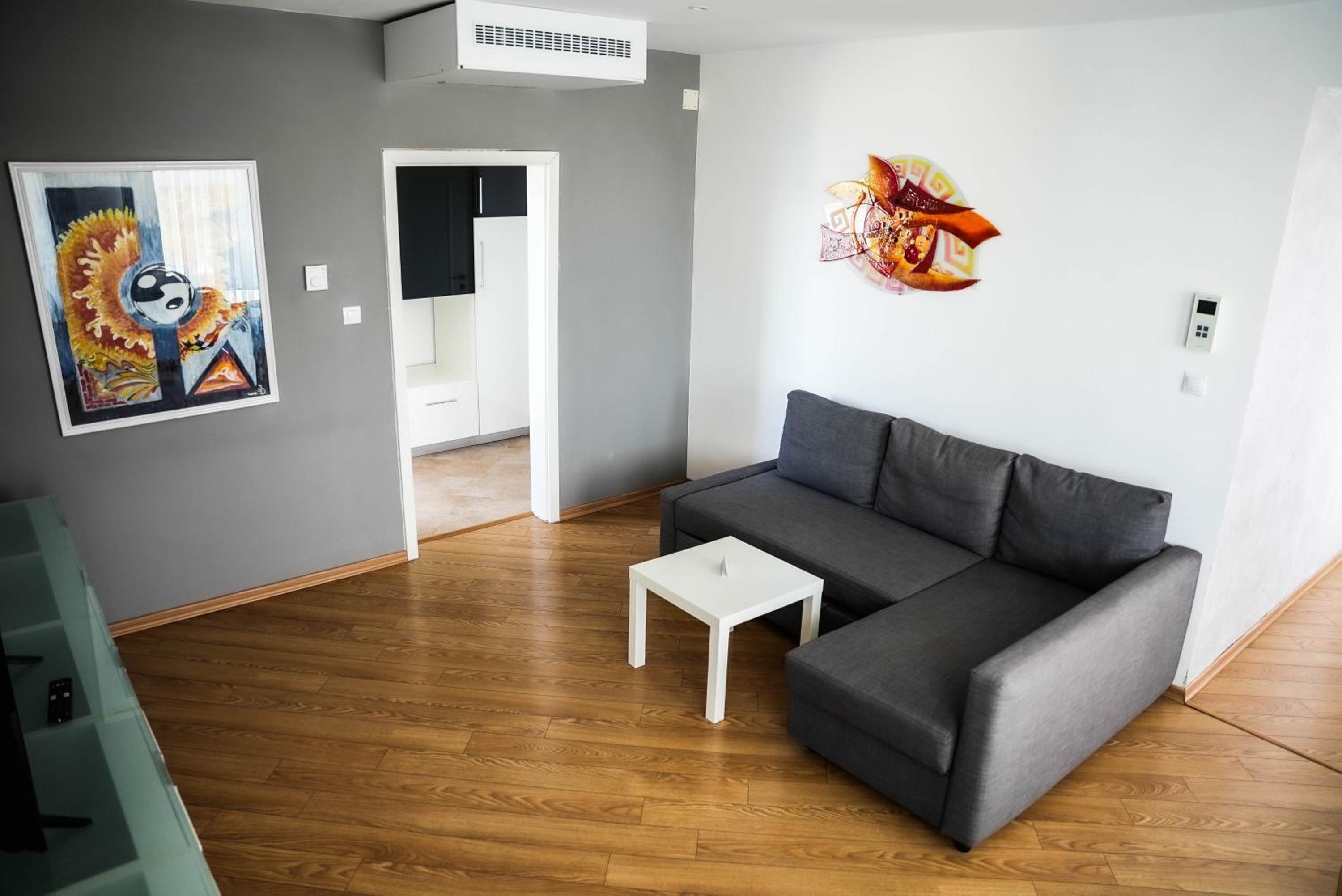 Superior Apartment photo 2