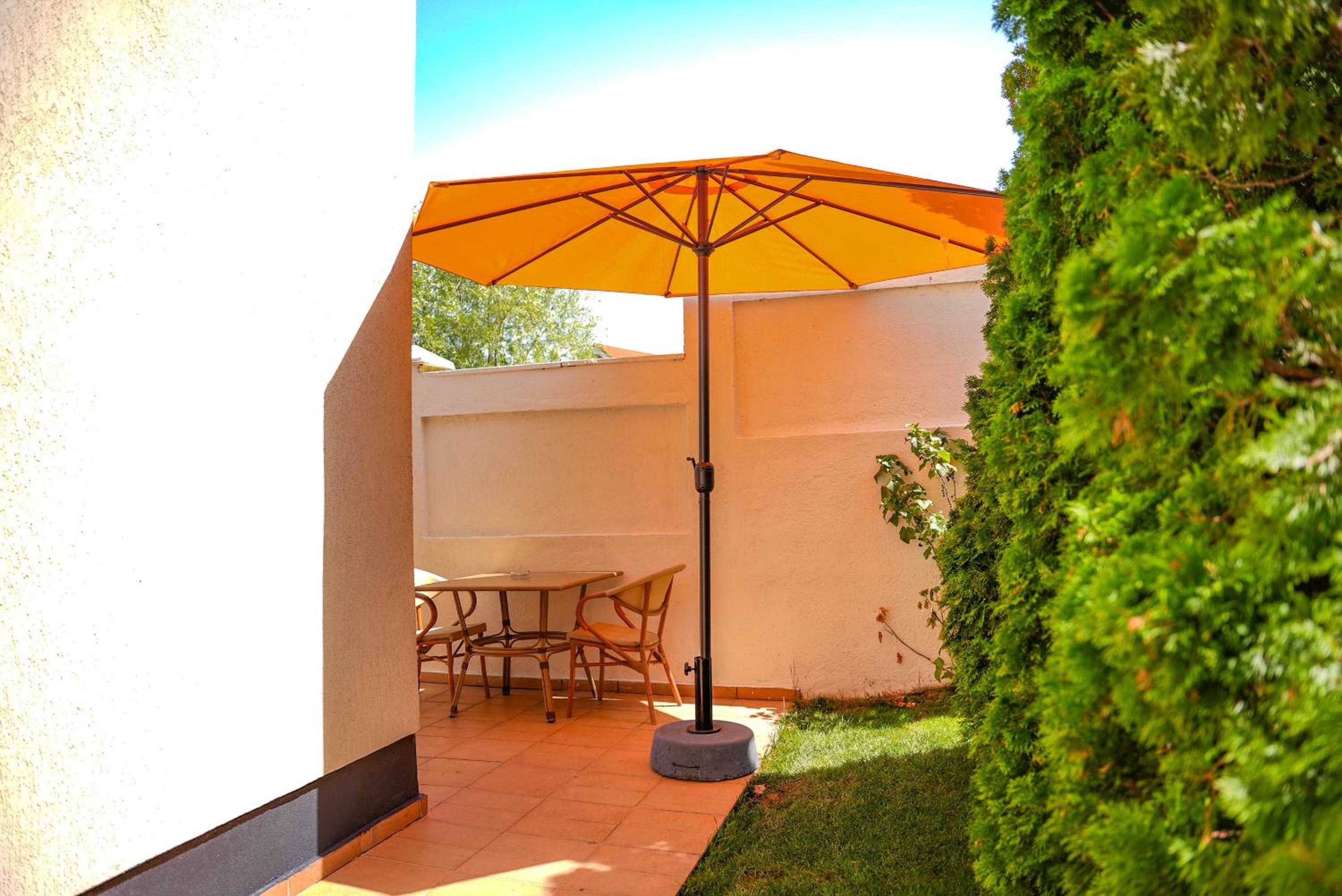 Studio with Terrace photo 3