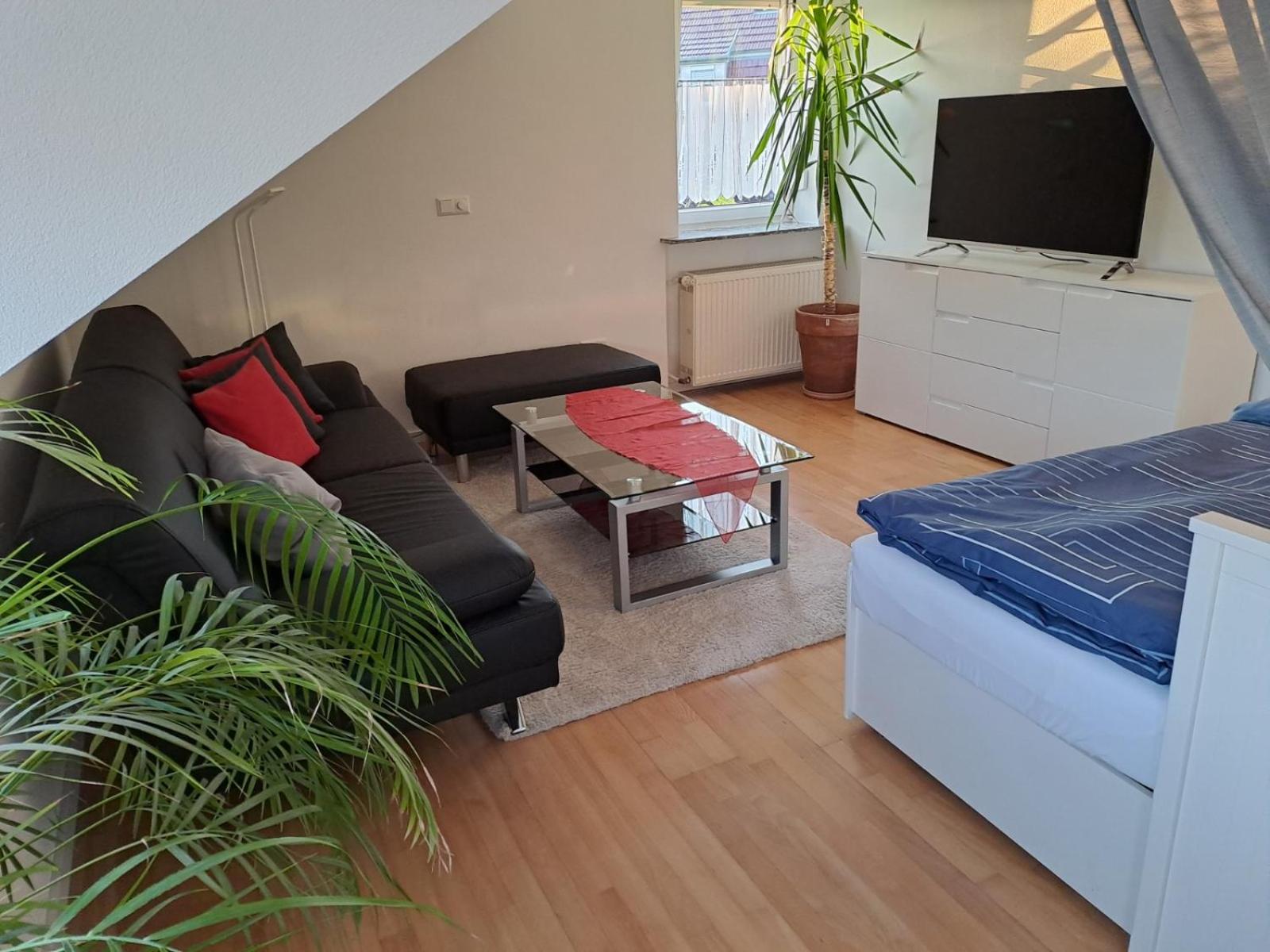 One-Bedroom Apartment photo 2