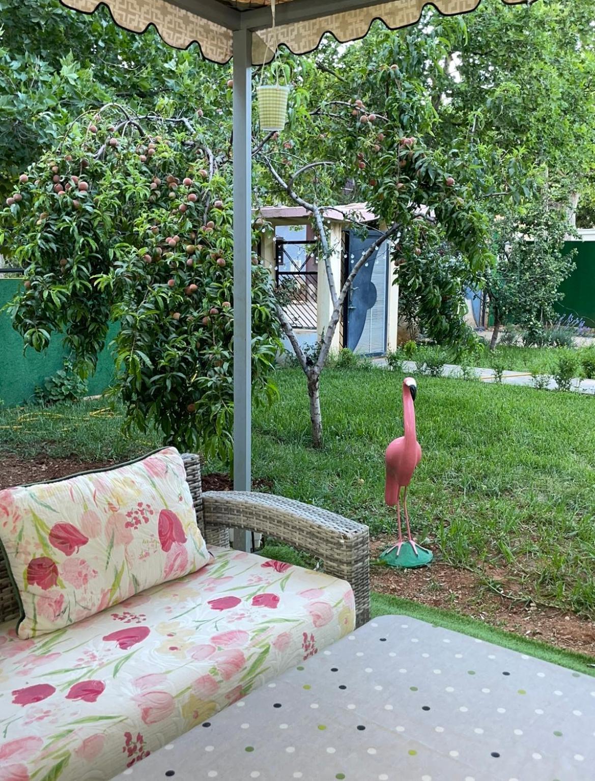 Villa - Photo 6