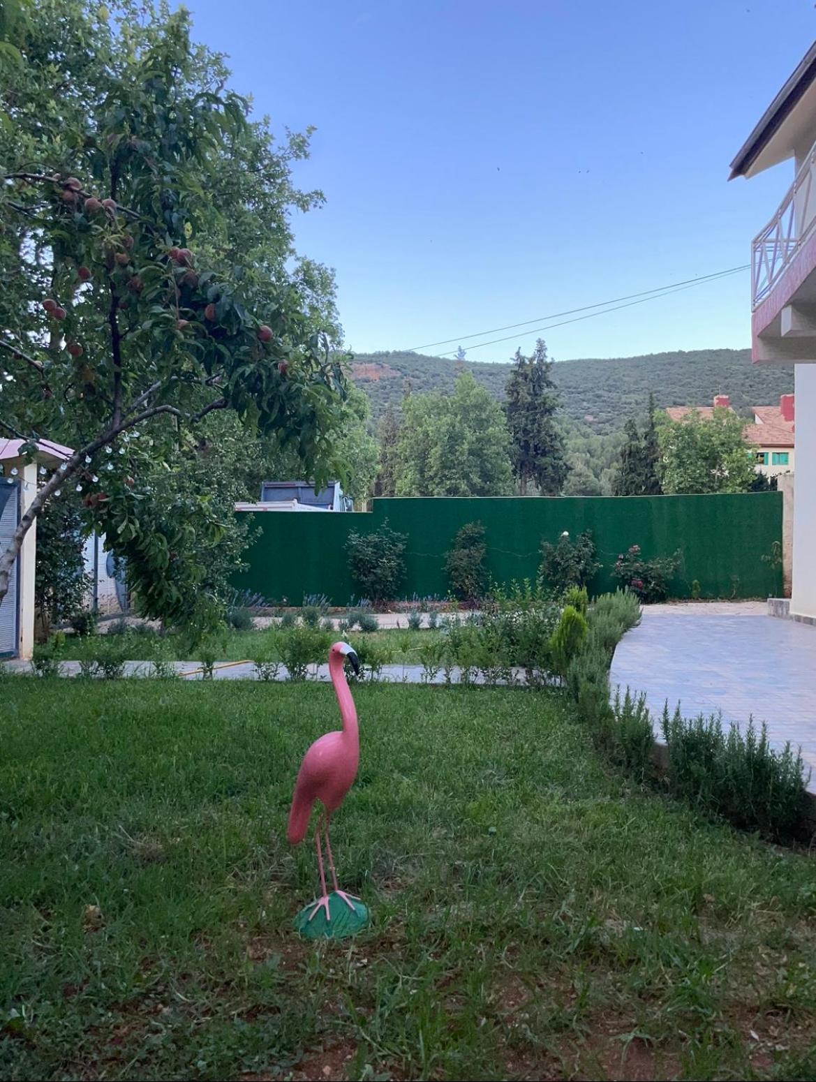 Villa - Photo 39