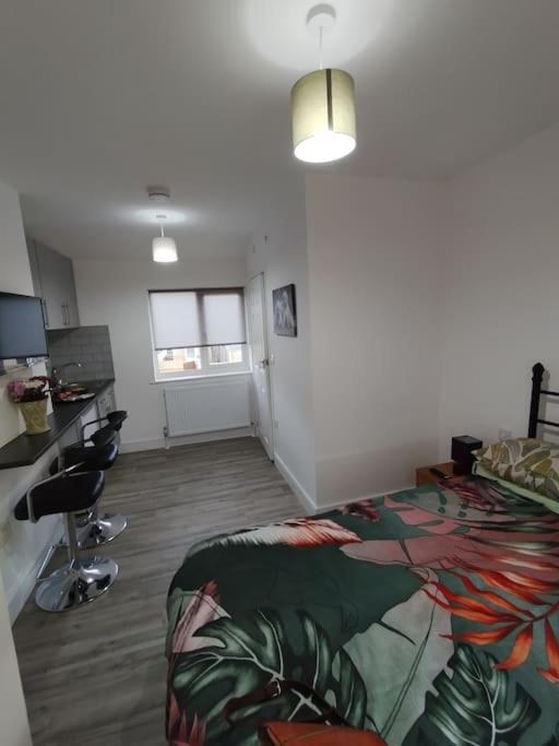 One-Bedroom Apartment photo 2