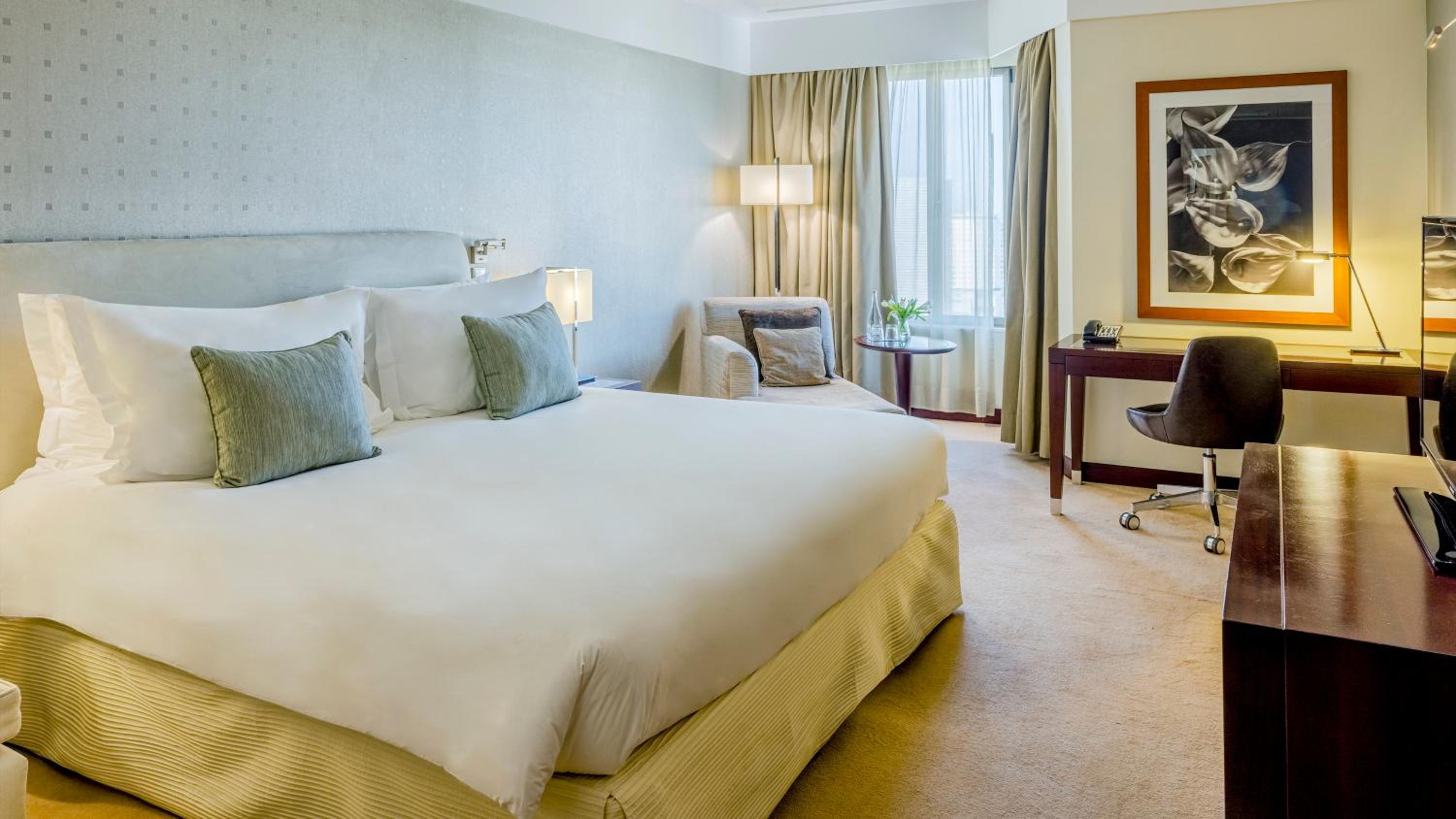 Diplomatic King Suite