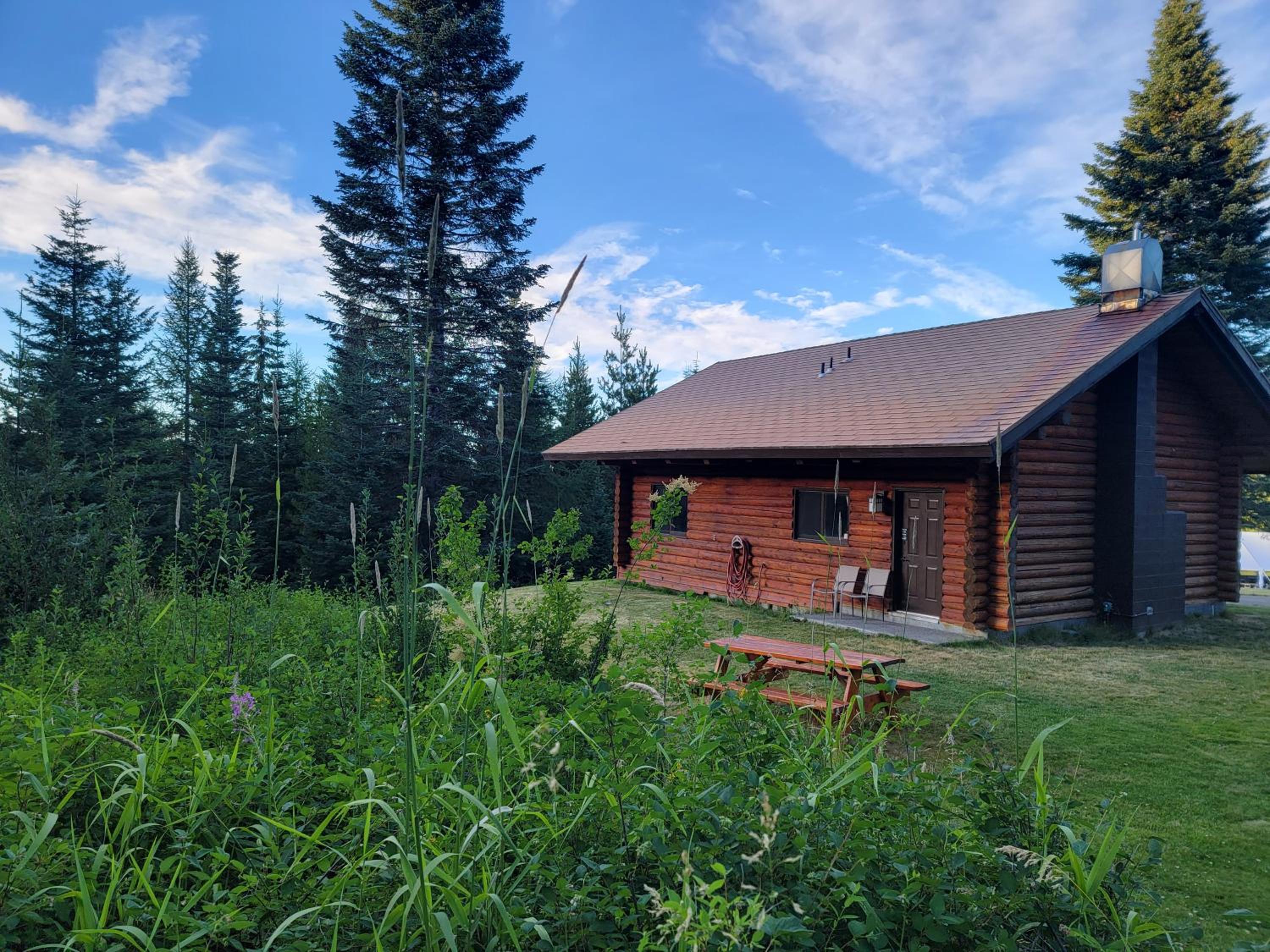 Cabin Pet Friendly  photo 2